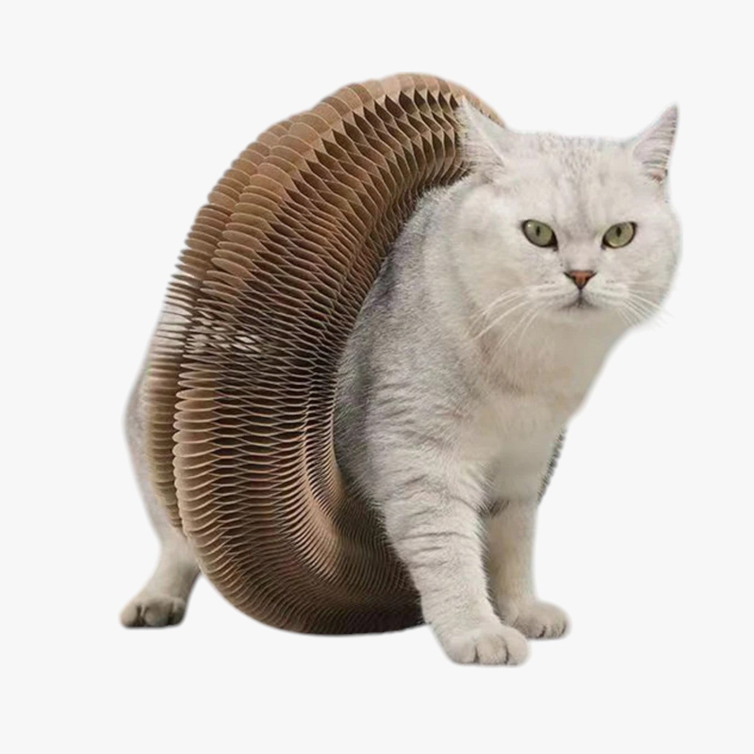 Kamila | Gioco interattivo magico per gatti – Divertimento in ogni forma - - pet PET SUPPLIES - Concept Palermo