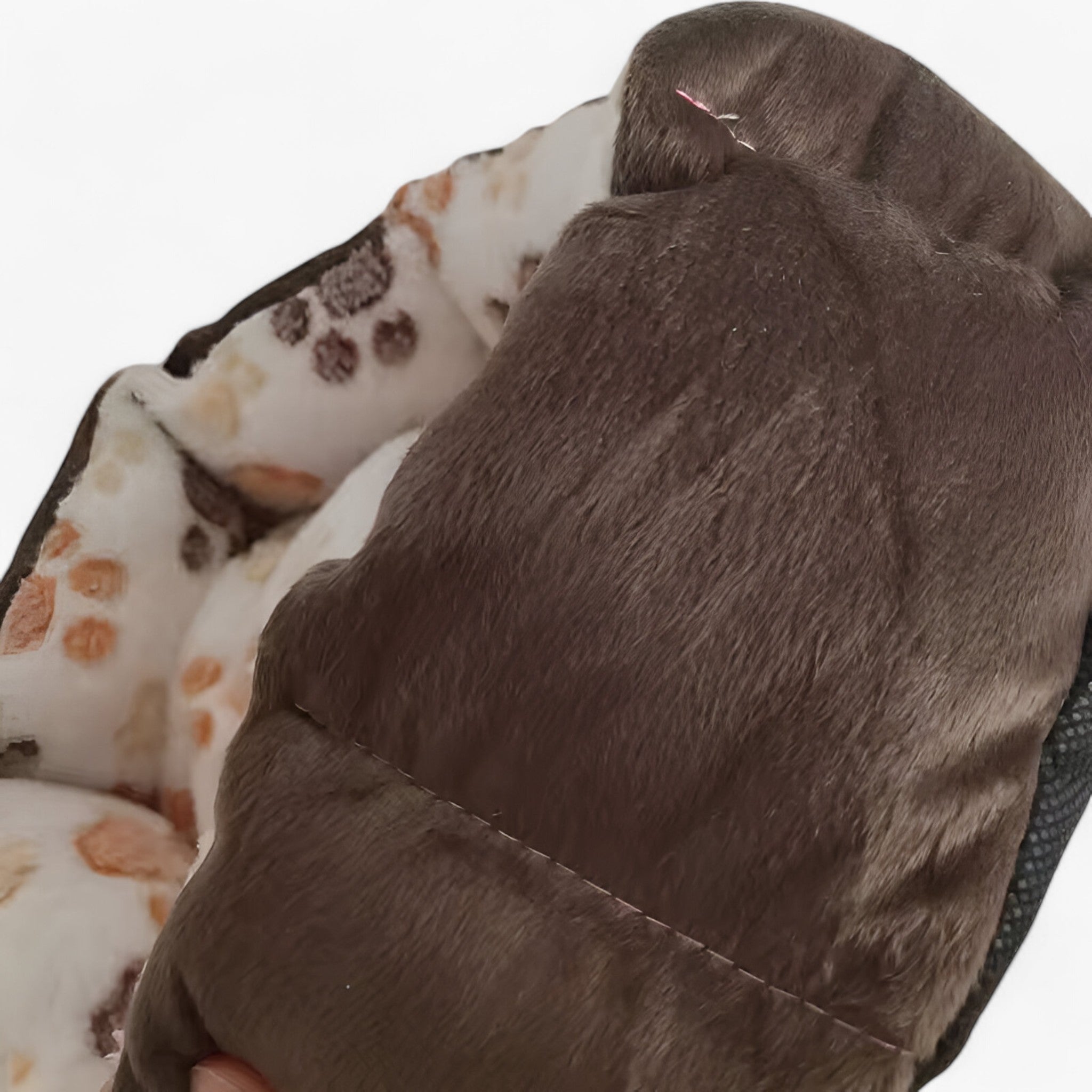 Letto Bowie | Morbido Cuscino per Cani in Peluche - - - Concept Palermo
