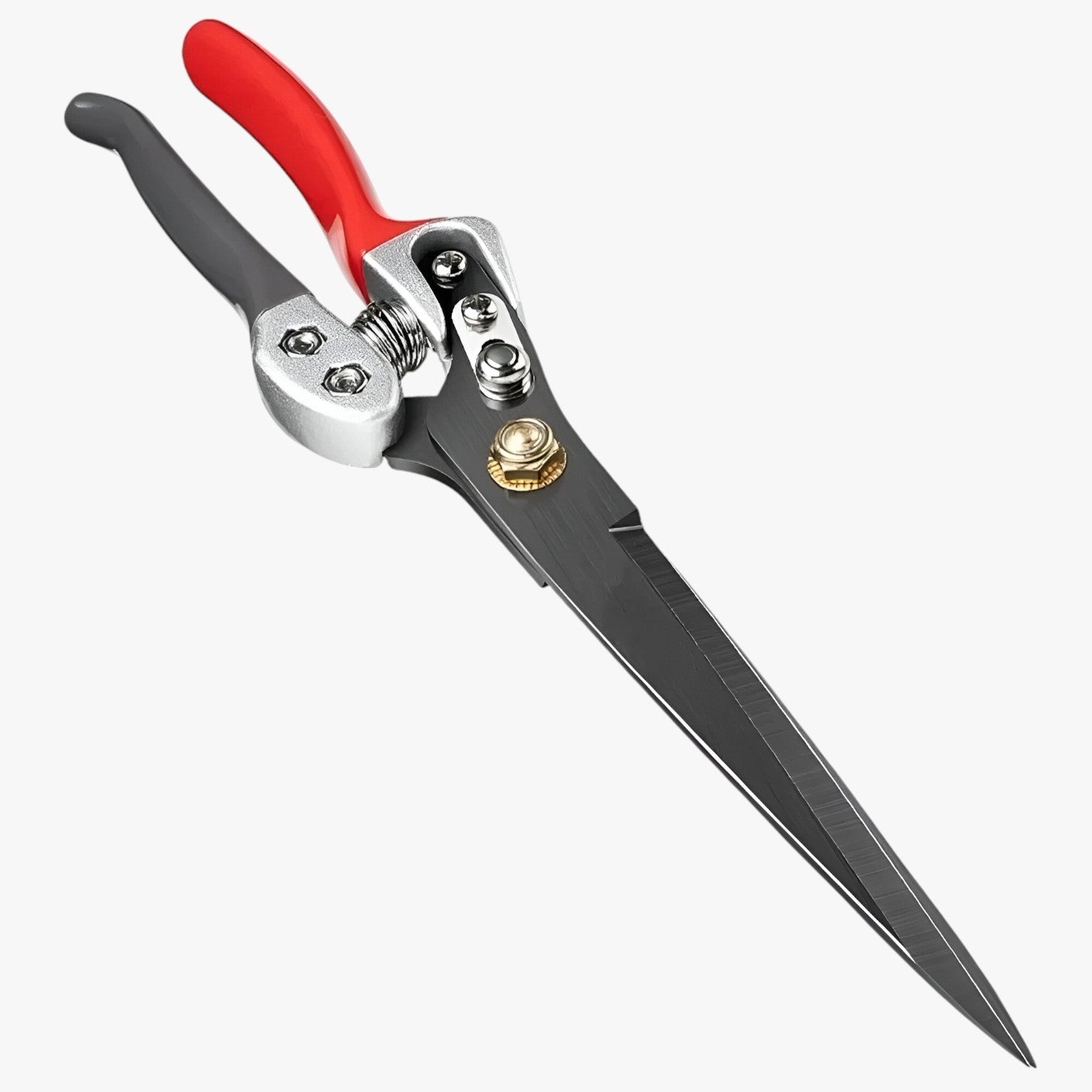 Emory | Forbice di precisione – Taglio facile con meccanismo a molla - con scatola - Garden Garden supplies Home & Garden - Concept Palermo