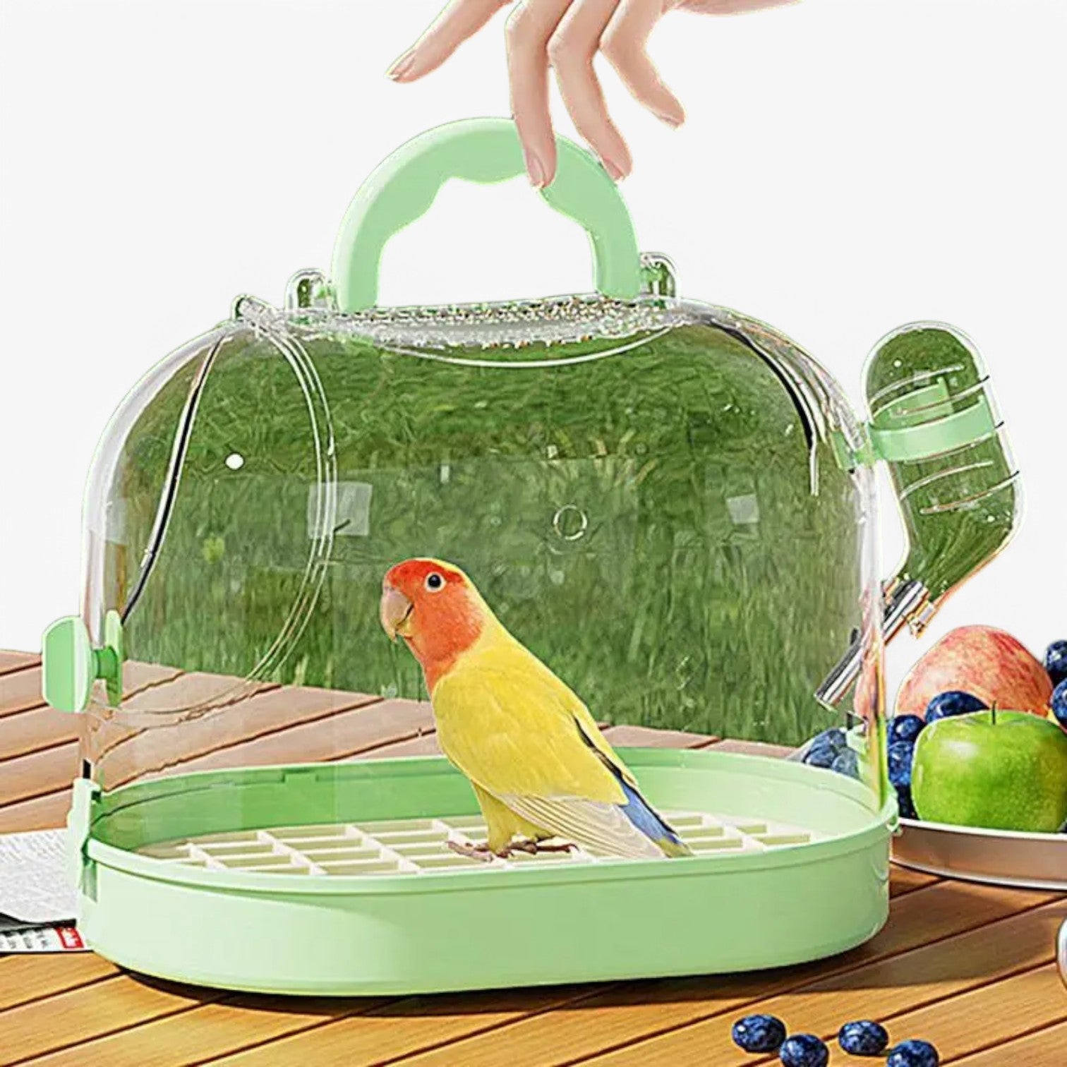Alaina | Gabbia per uccelli portatile – Confortevole e traspirante - - pet PET SUPPLIES - Concept Palermo
