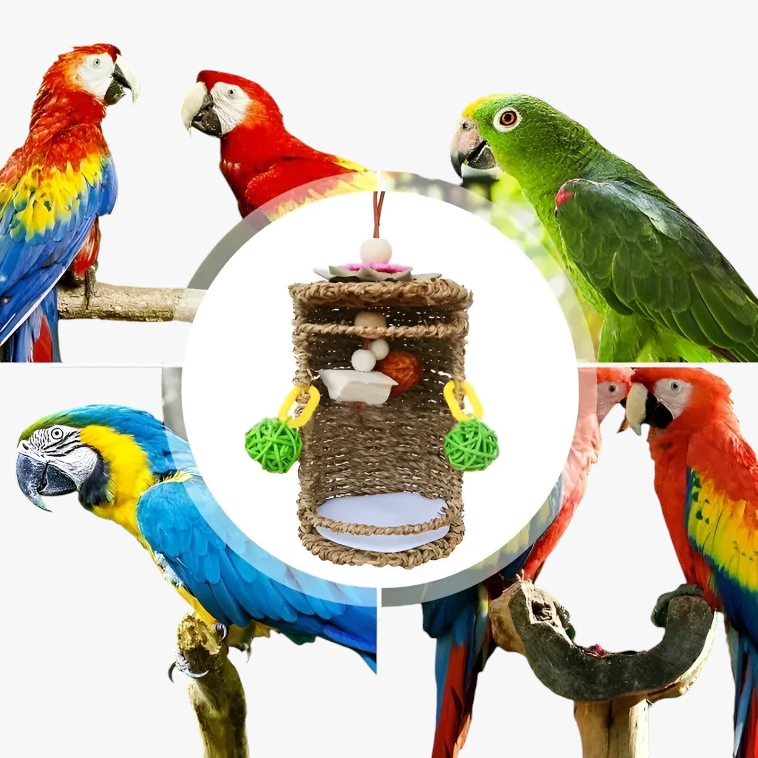 Carlos | Accogliente rifugio per uccelli – Spazio nido e gioco confortevole - - bird bird house birdproduct - Concept Palermo