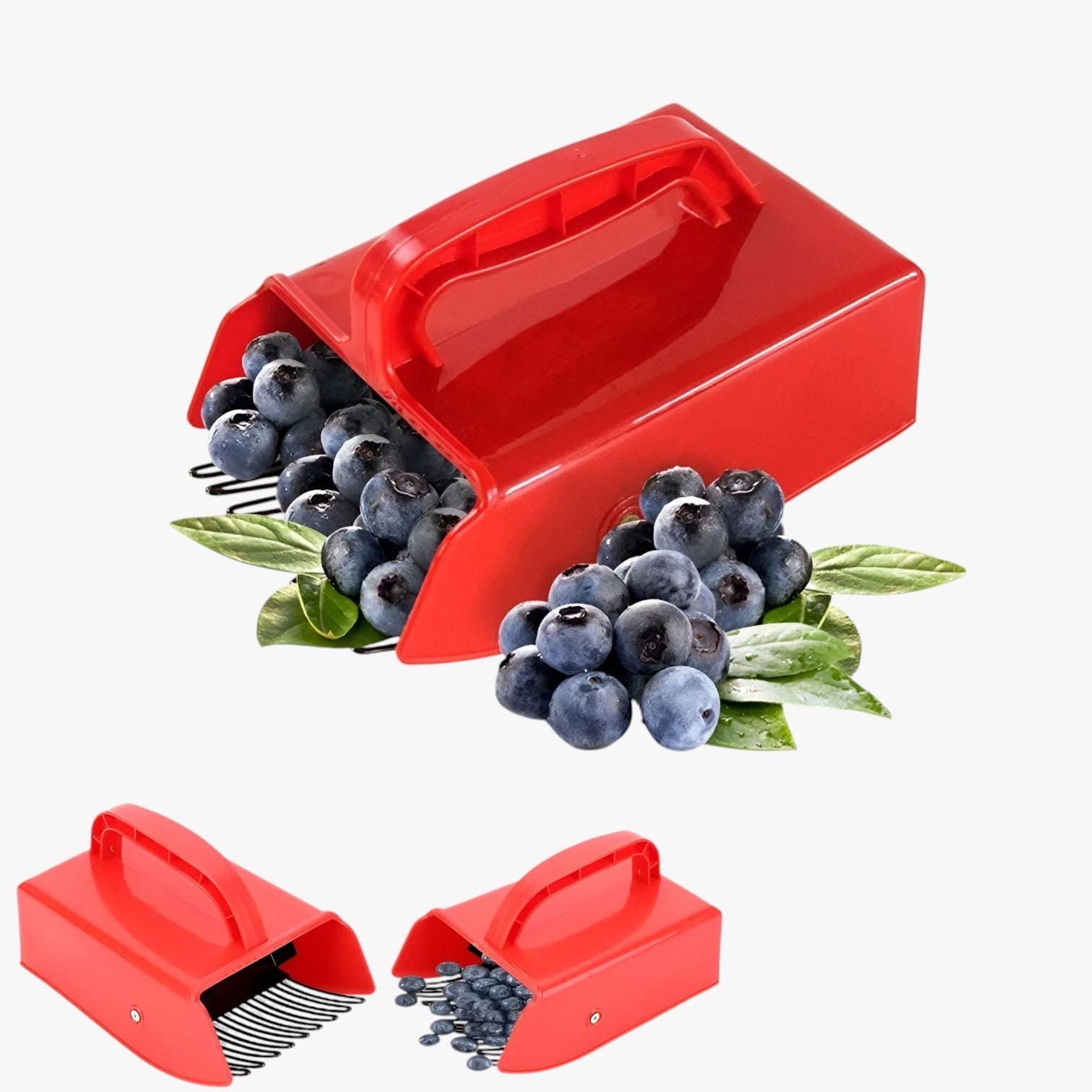 Tomir | Raccoglitore di bacche ergonomico – Raccogliere in modo veloce e senza sforzo - - Garden Garden accessories Garden supplies Home & Garden - Concept Palermo