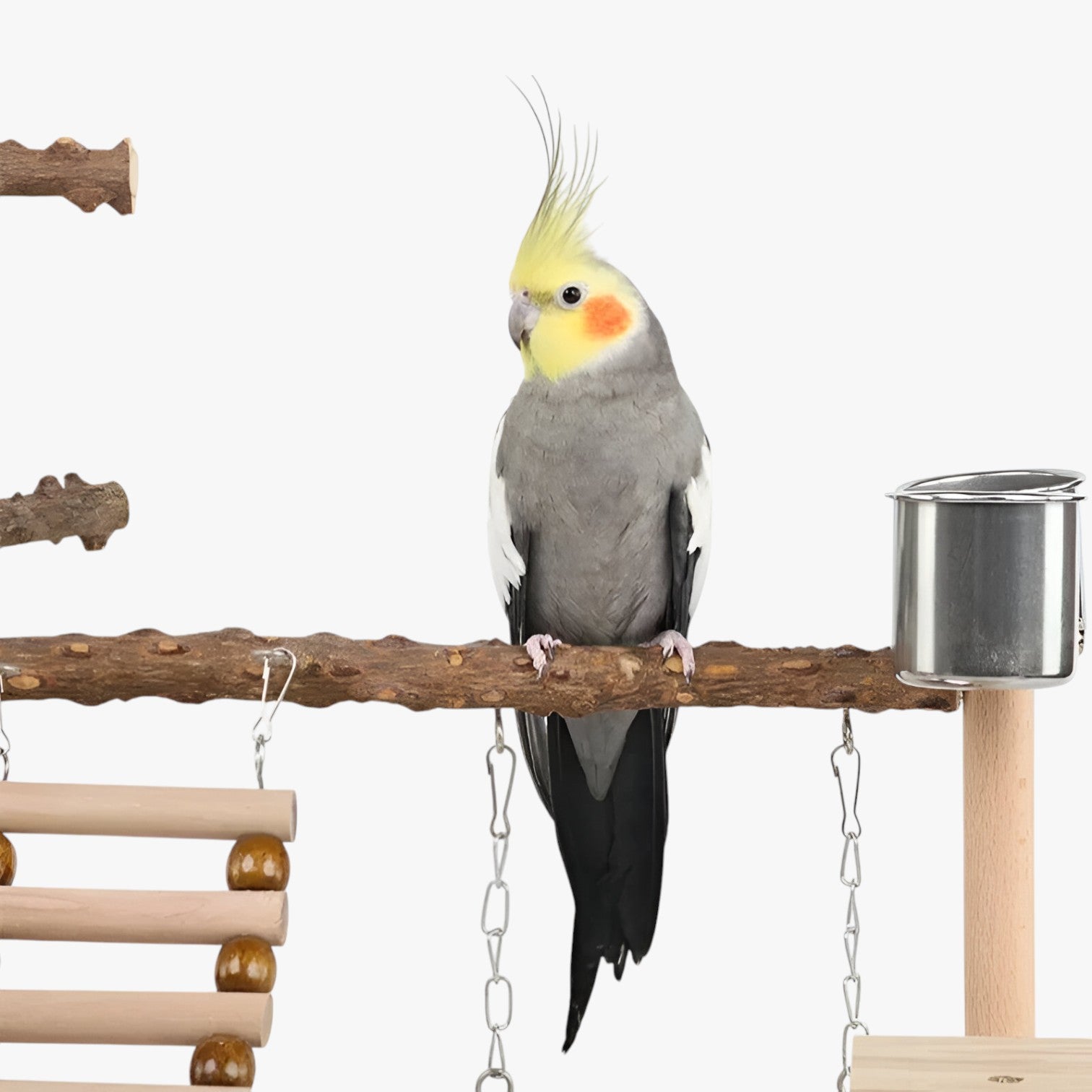 Jodi | Klimnet e Piattaforma di Gioco per Uccelli Attivi - - bird bird toys birdproduct pet PET SUPPLIES - Concept Palermo