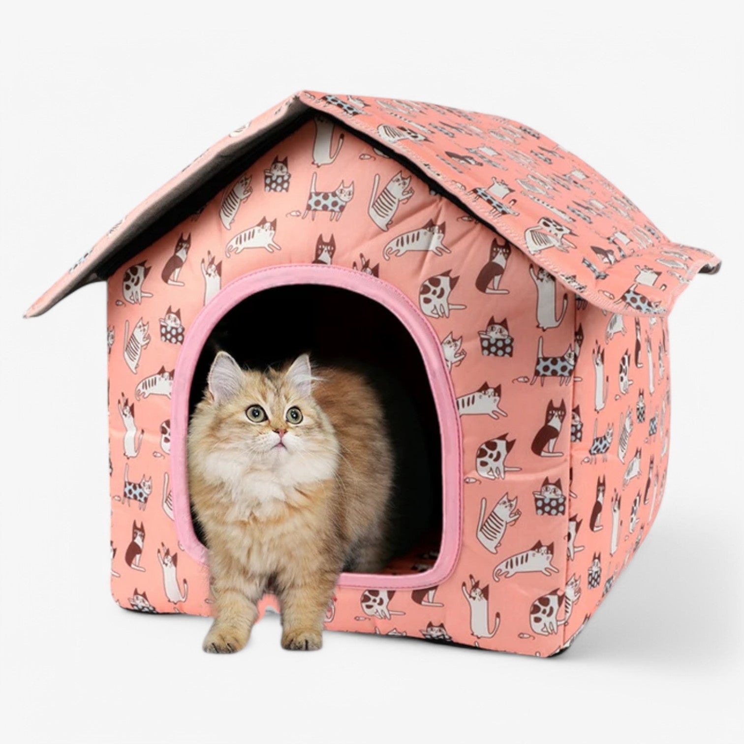 Harlow | Casetta per gatti impermeabile – Calda e accogliente per esterni - - dog DOG SUPPLIES - Concept Palermo