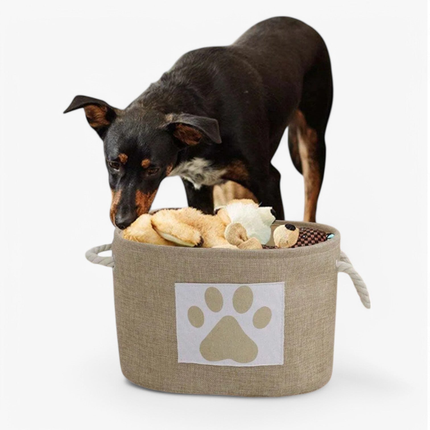 Beatrix | Cesto per giocattoli pieghevole con maniglia in legno elegante - - dog DOG SUPPLIES - Concept Palermo