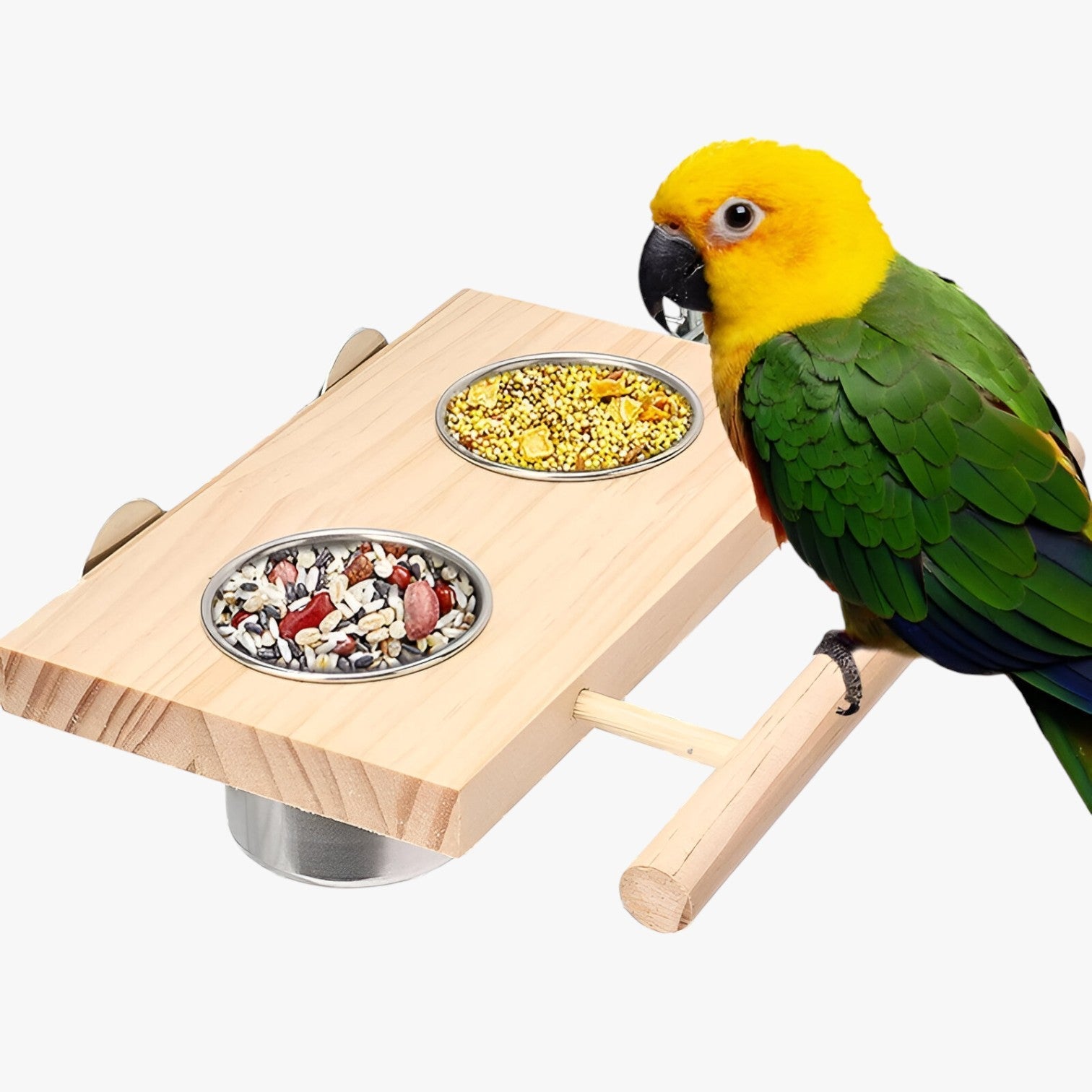 Martin | Ciotola in acciaio inox con asta per il posatoio – Robusta e igienica per ogni gabbia per uccelli - - bird bird feeder birdproduct - Concept Palermo