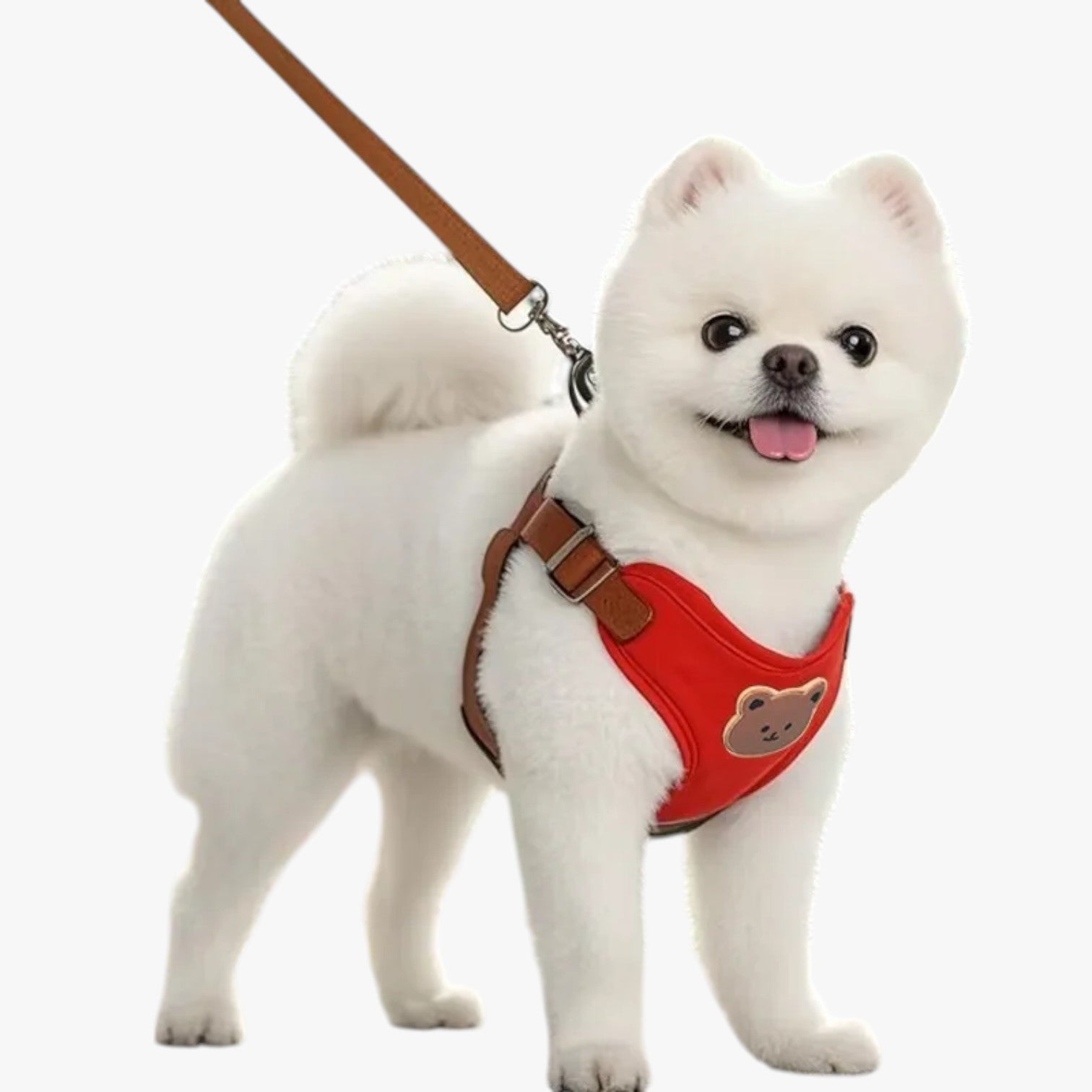 Navy | Pettorina Traspirante con Guinzaglio per Piccoli Animali - - pet petproduct Pets - Concept Palermo