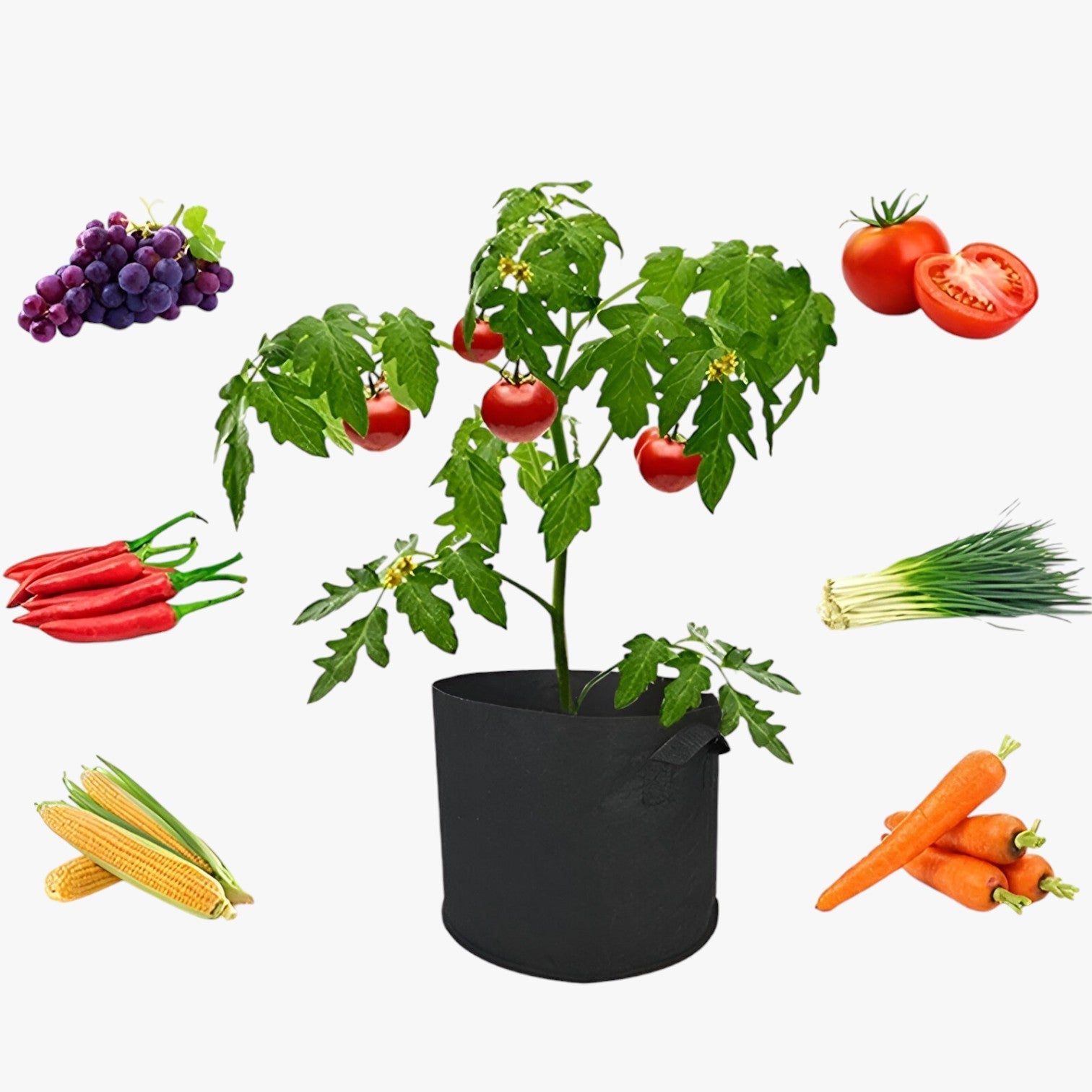 Genalyn | Sacco di coltivazione salvaspazio – Piante sane, facili da coltivare - - Garden Garden supplies Home & Garden - Concept Palermo