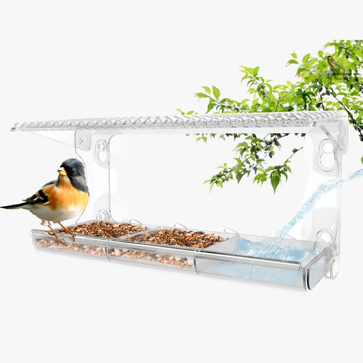 Nadia | Casetta per uccelli trasparente – Goditi i uccelli da vicino nel tuo giardino - - bird bird feeder birdproduct pet PET SUPPLIES - Concept Palermo