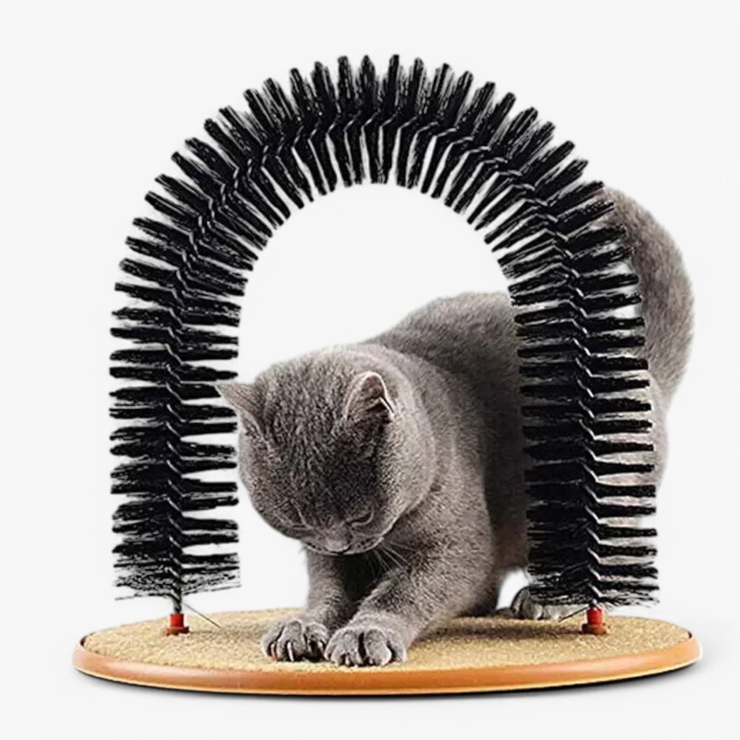 Calixta | Arco di Auto-Cura – Cura, grattare e giocare in uno - - pet pet accessories PET SUPPLIES - Concept Palermo