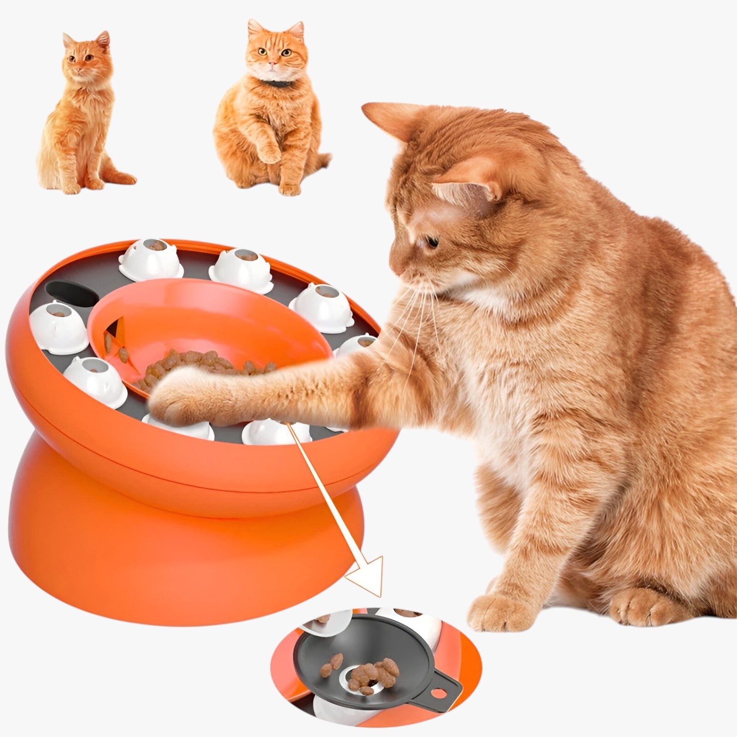 Matthew | Ciotola Puzzle Inclinata per Gatti Alimentazione Lenta e Divertente - - pet PET SUPPLIES petproduct - Concept Palermo