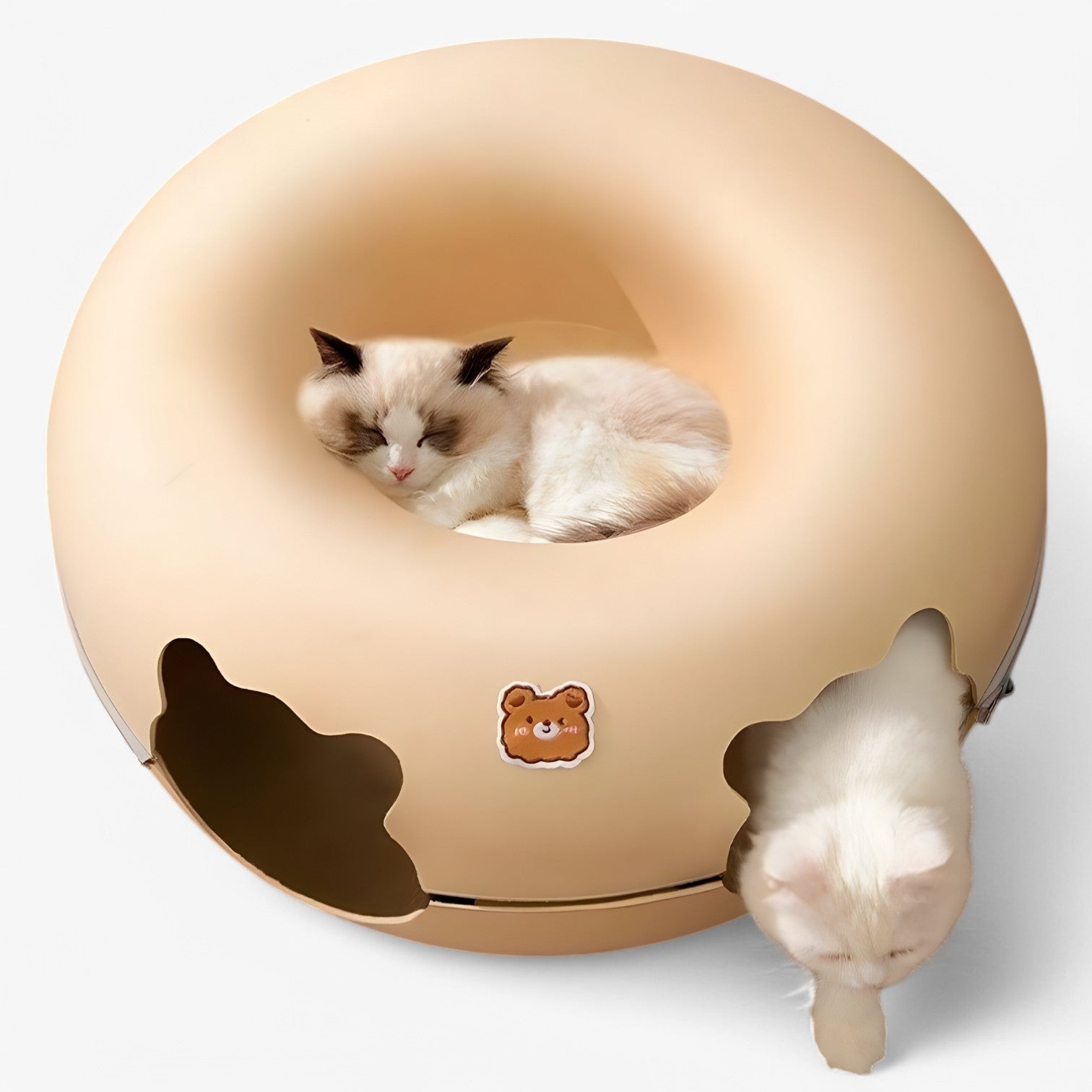 Maggie | Letto per gatti interattivo schiccoso: giocare, rilassarsi e scoprire - - cat pet PET SUPPLIES - Concept Palermo