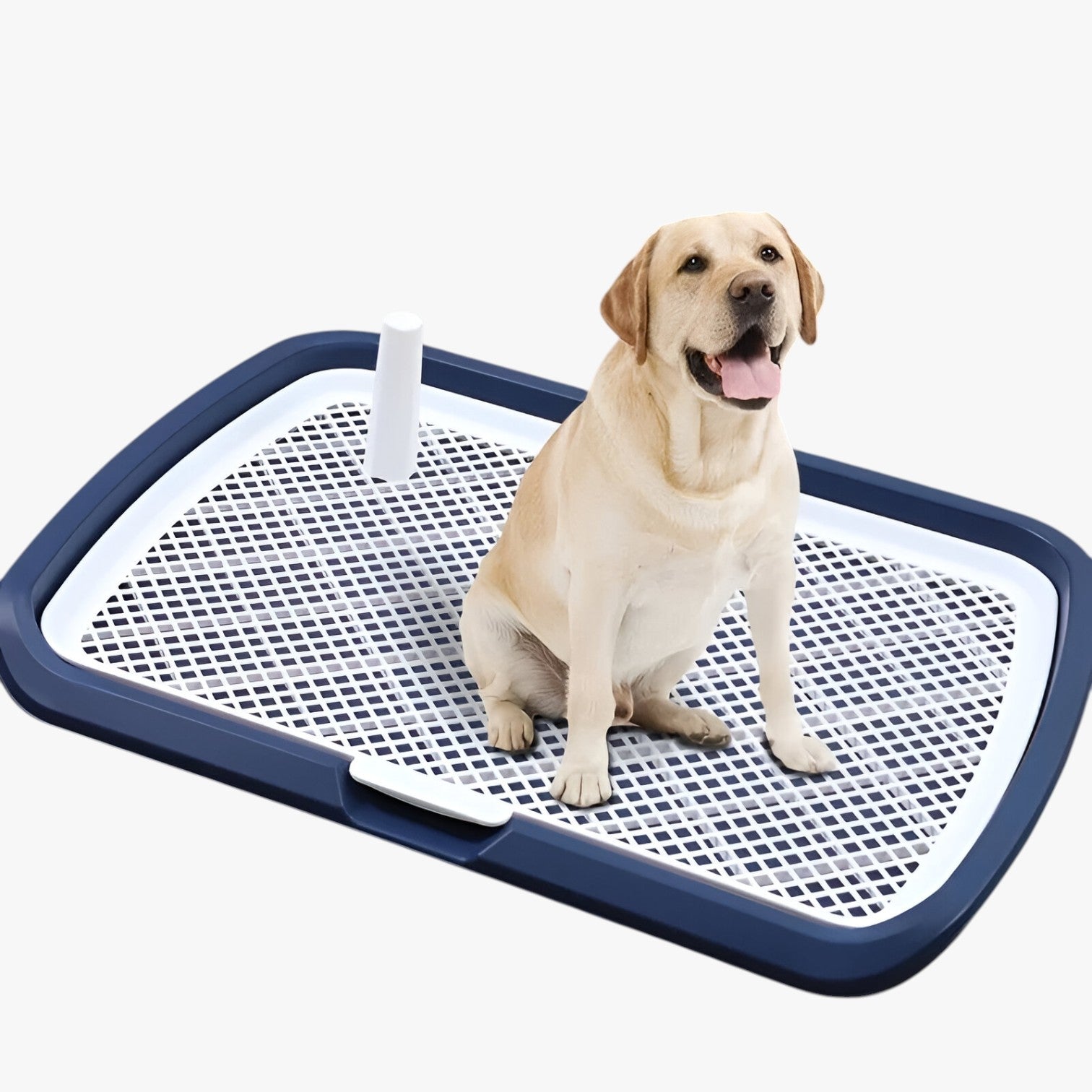 Carter | Toilette per cani con rete removibile Addestramento facile e igienico - - pet PET SUPPLIES petproduct - Concept Palermo