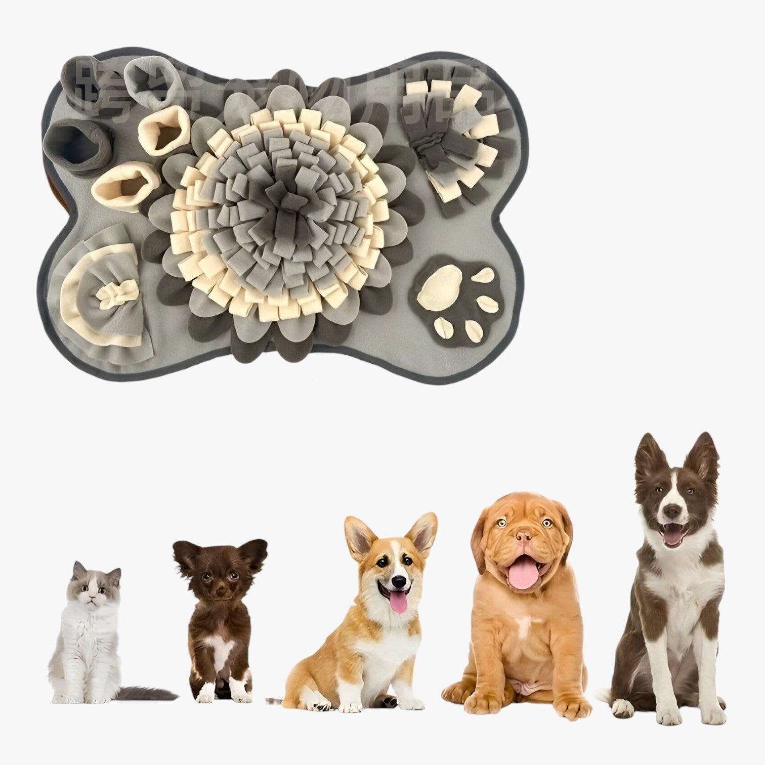 Sparky | Tappetino da Annusare Interattivo per Cani - - PET SUPPLIES petproduct Pets - Concept Palermo