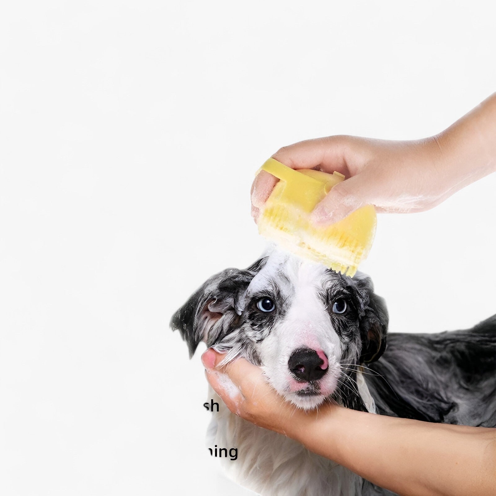 Buddy | Morbido Spazzola da Massaggio in Silicone - Cura e Bagno - - Dog Pet Care PET SUPPLIES - Concept Palermo