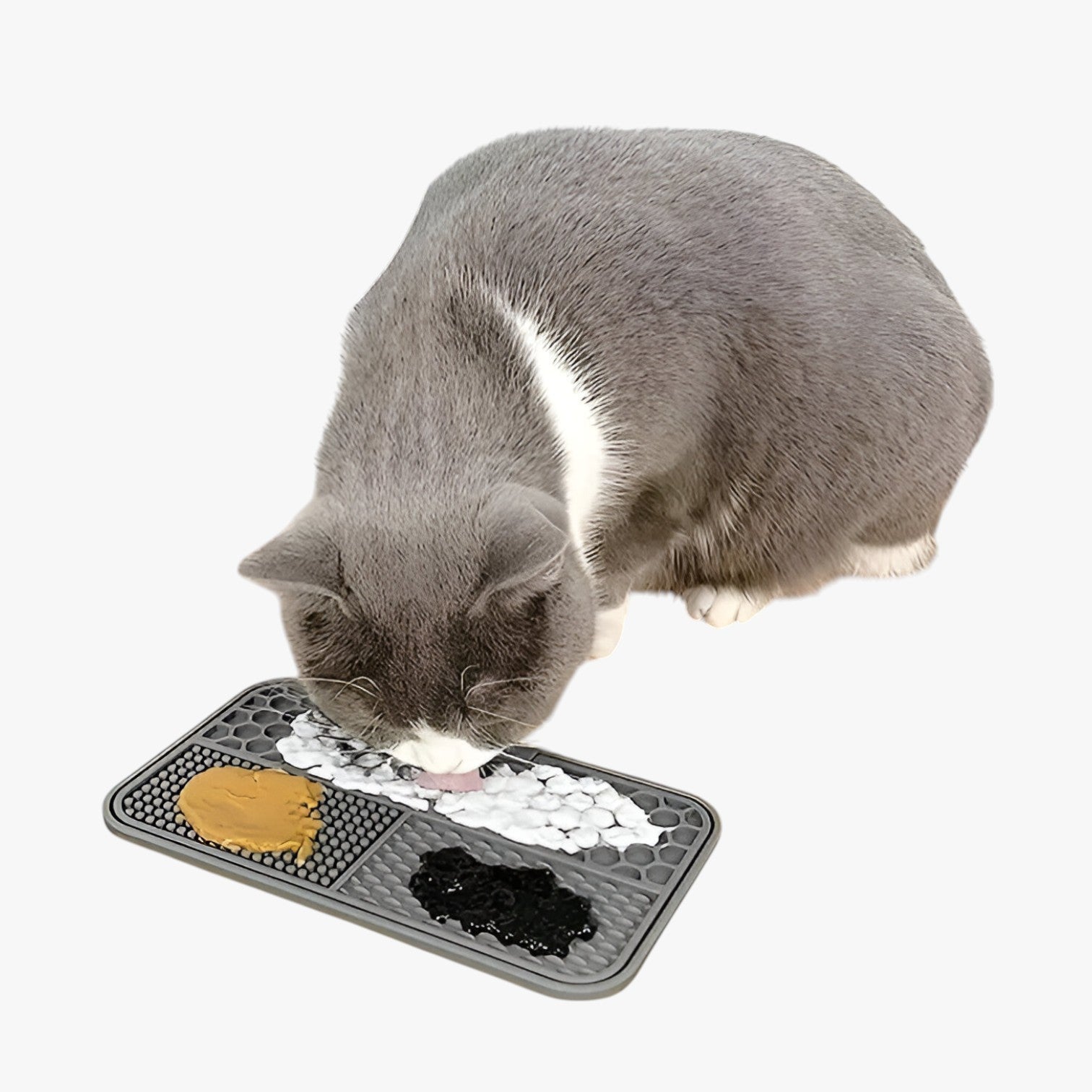 Teddy | Tappetino leccabile in silicone calmante per animali domestici - - Animal PET SUPPLIES petproduct Pets - Concept Palermo