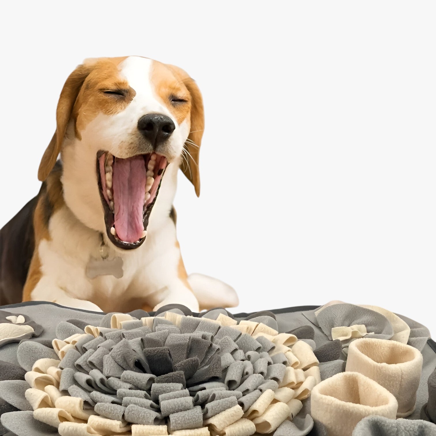 Sparky | Tappetino da Annusare Interattivo per Cani - - PET SUPPLIES petproduct Pets - Concept Palermo