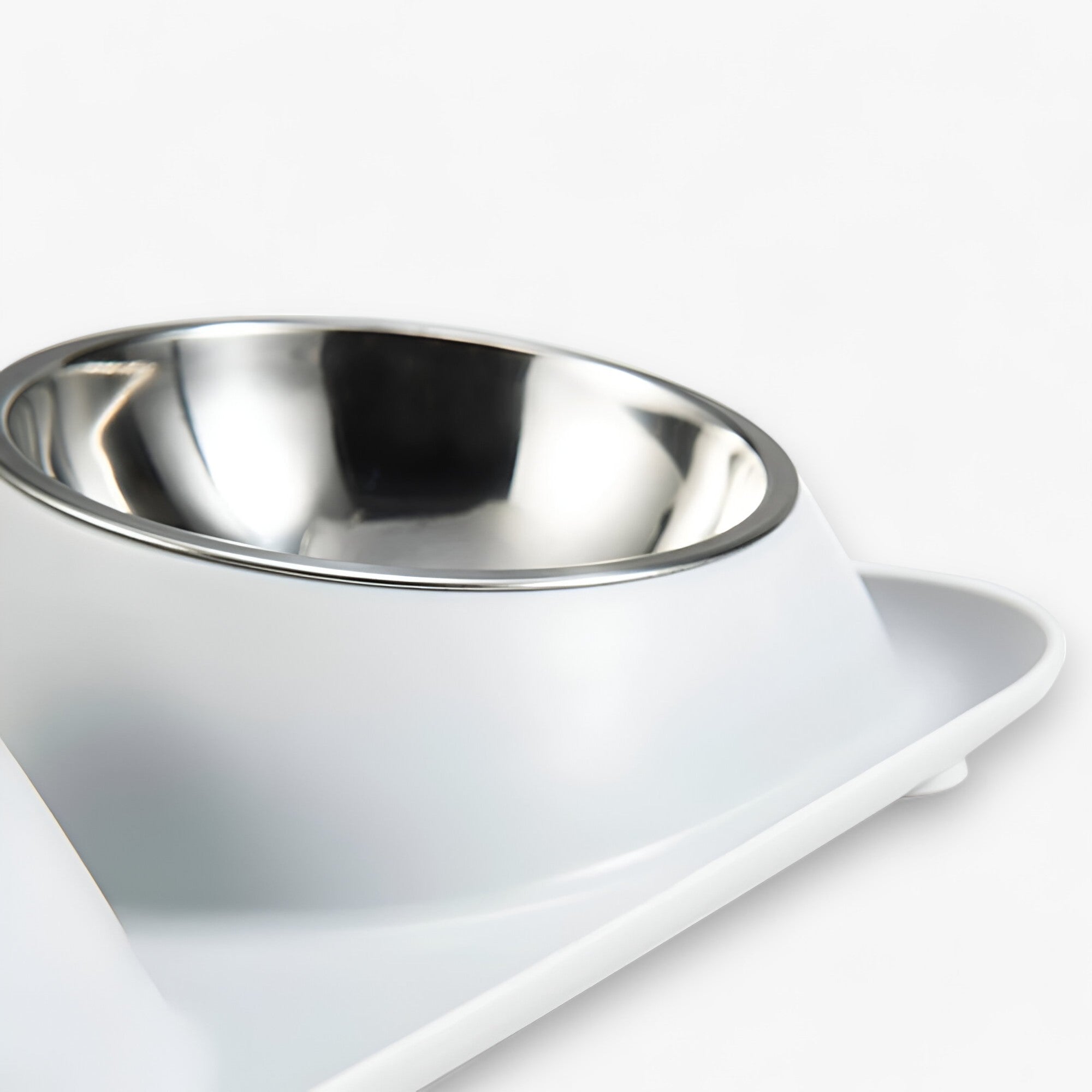Mattie | Ciotola Doppia in RVS – Antiscivolo e Amica del Collo - - pet pet accessories PET SUPPLIES - Concept Palermo