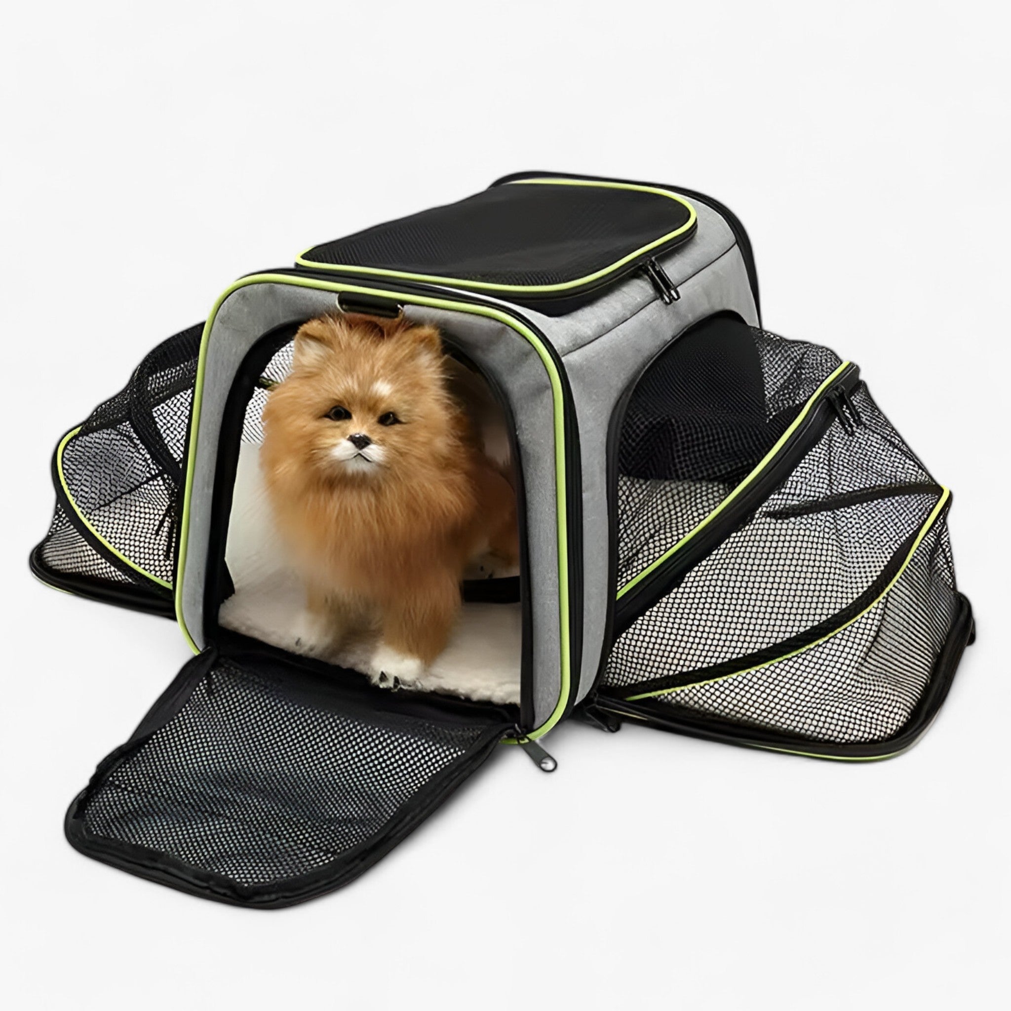 Milo | Zaino Trasportabile per Animali a Maglia e Pieghevole - - Dog dog bag DOG SUPPLIES - Concept Palermo