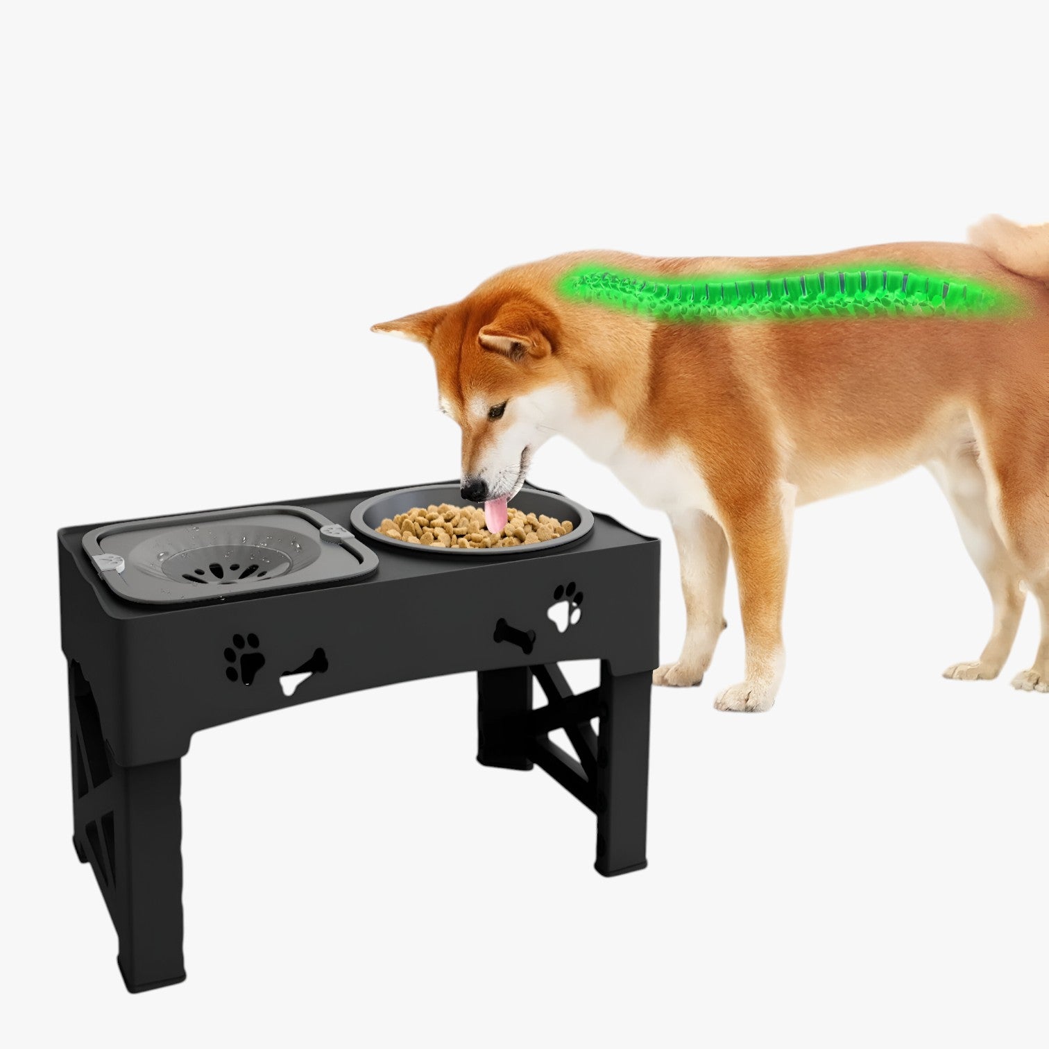 Logan | Ciotola 3 in 1 Regolabile Alimentazione lenta e comoda a ogni altezza - - pet PET SUPPLIES petproduct Pets - Concept Palermo
