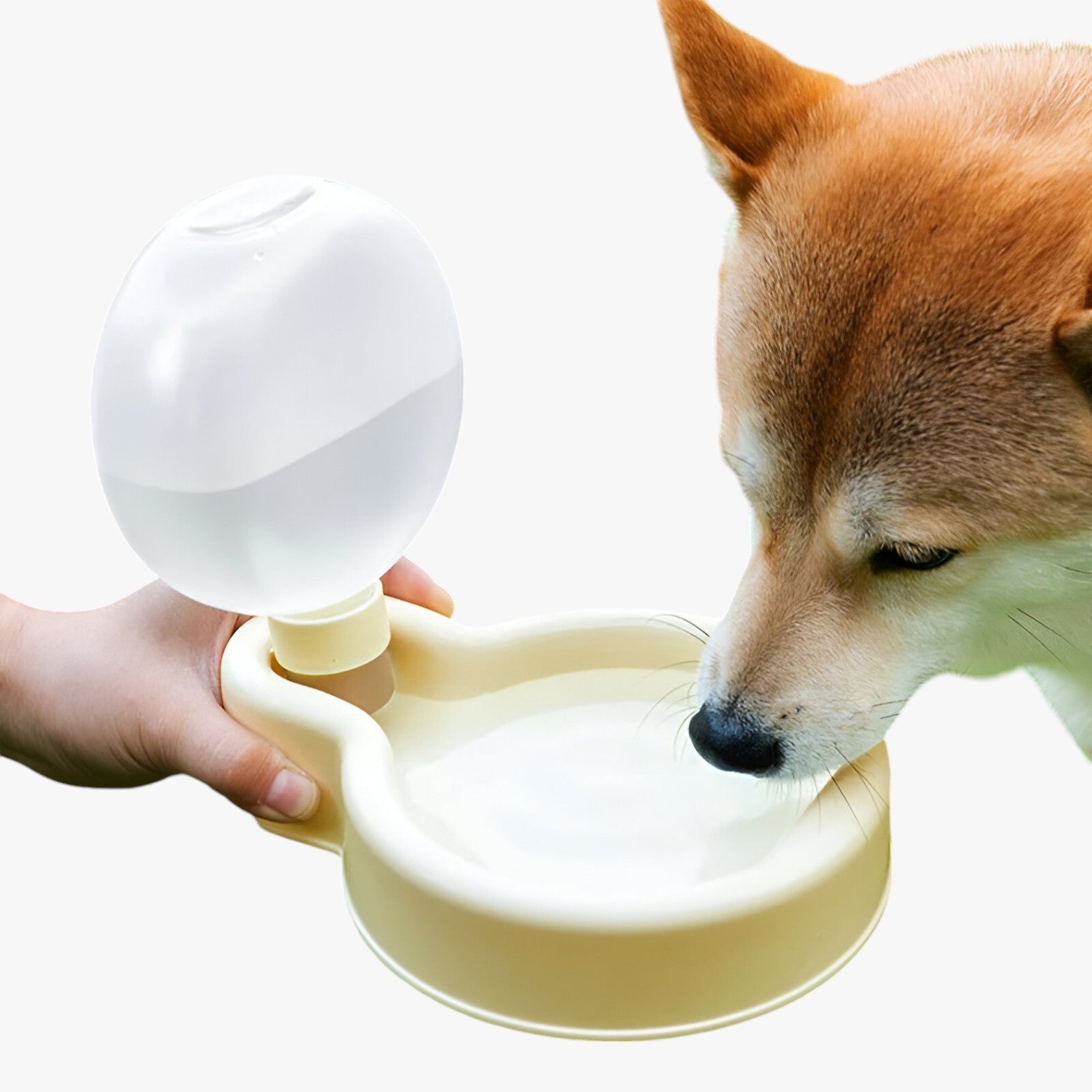 Kinsley | Bottiglia d'acqua portatile per cani - Idratazione in movimento - - dog DOG SUPPLIES pet pet accessories PET SUPPLIES - Concept Palermo