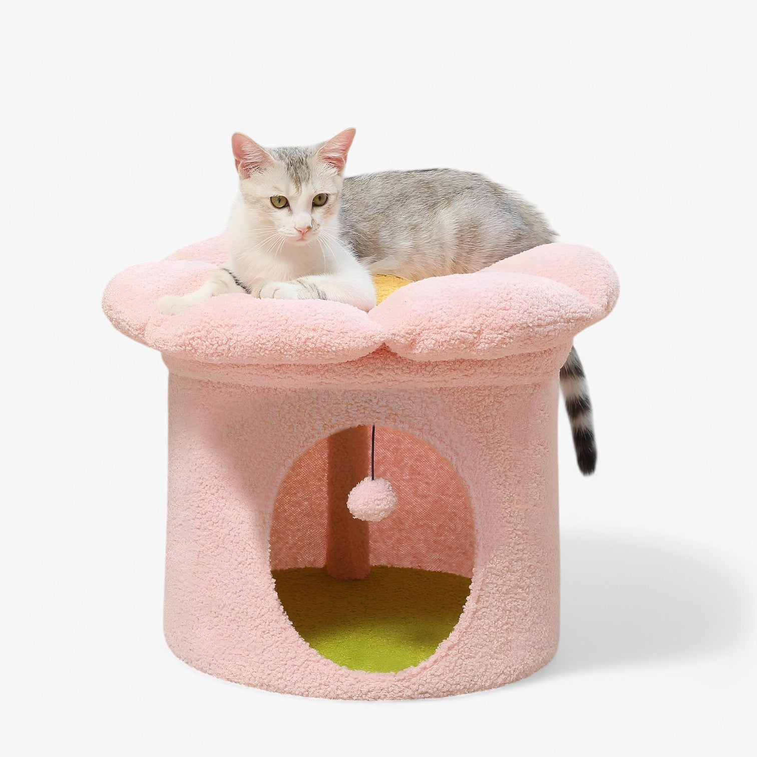 Polly | Rifugio per gatti carino con letto a fiori removibile - Rosa - cats pet PET SUPPLIES - Concept Palermo