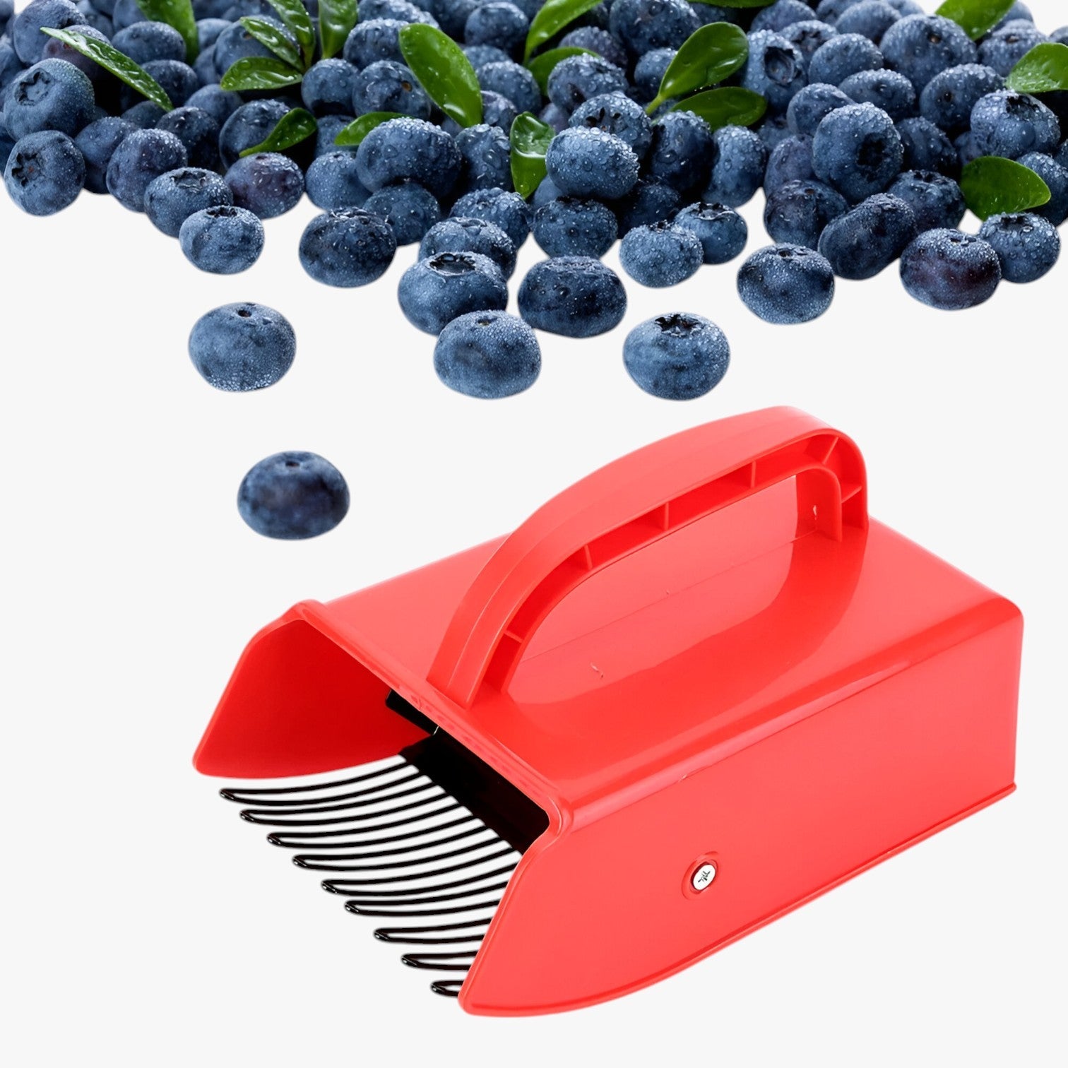 Tomir | Raccoglitore di bacche ergonomico – Raccogliere in modo veloce e senza sforzo - - Garden Garden accessories Garden supplies Home & Garden - Concept Palermo