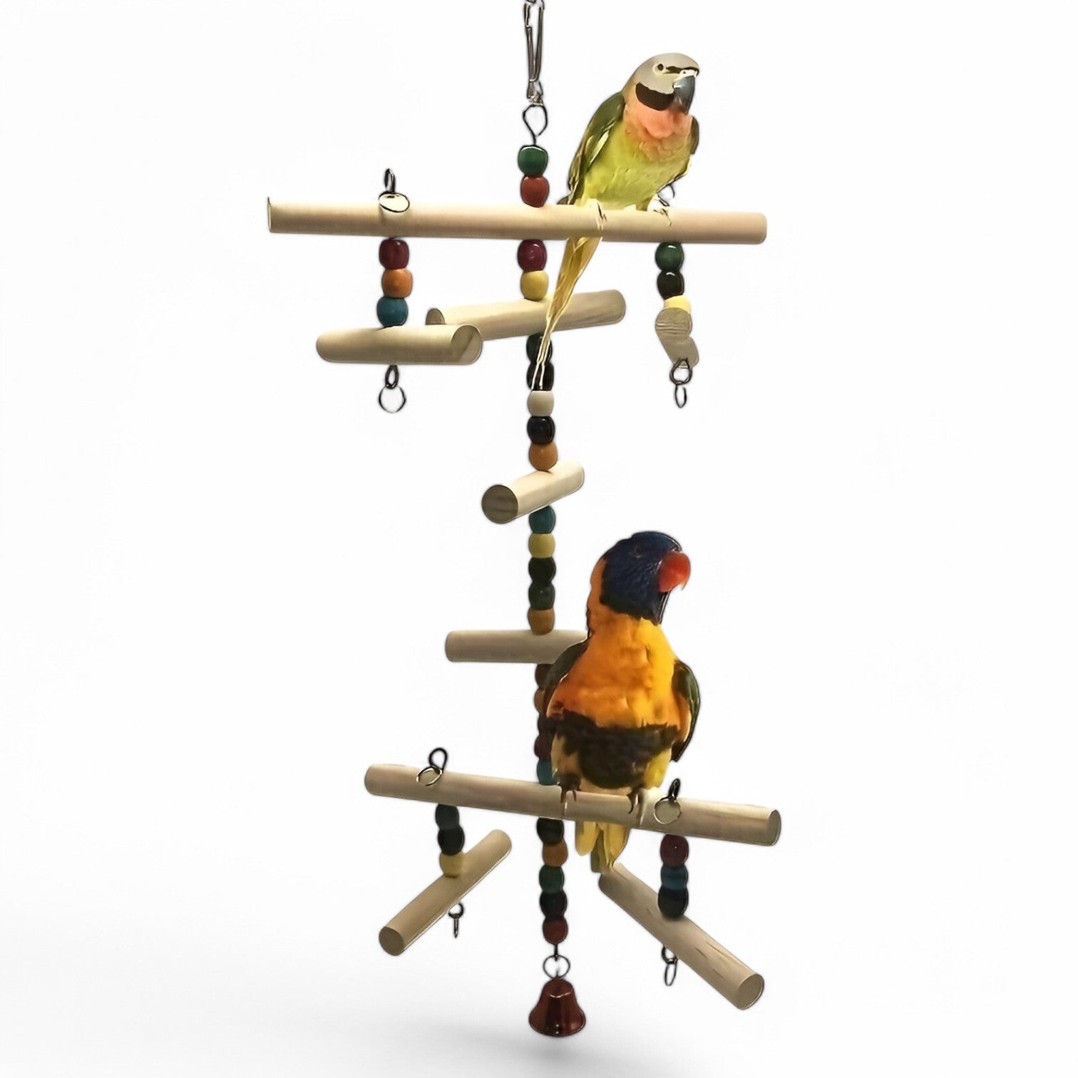Lukas | Gioia di arrampicata colorata - Stimola il movimento e la curiosità - - bird bird toys birdproduct - Concept Palermo