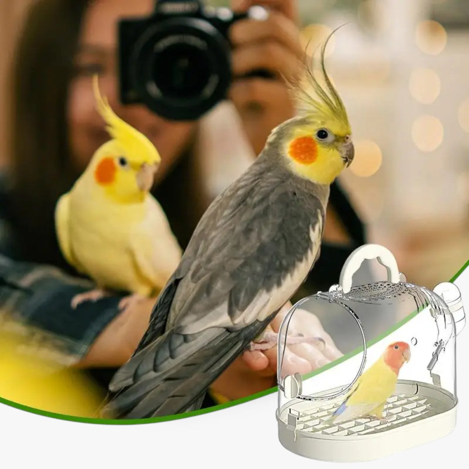Alaina | Gabbia per uccelli portatile – Confortevole e traspirante - - pet PET SUPPLIES - Concept Palermo