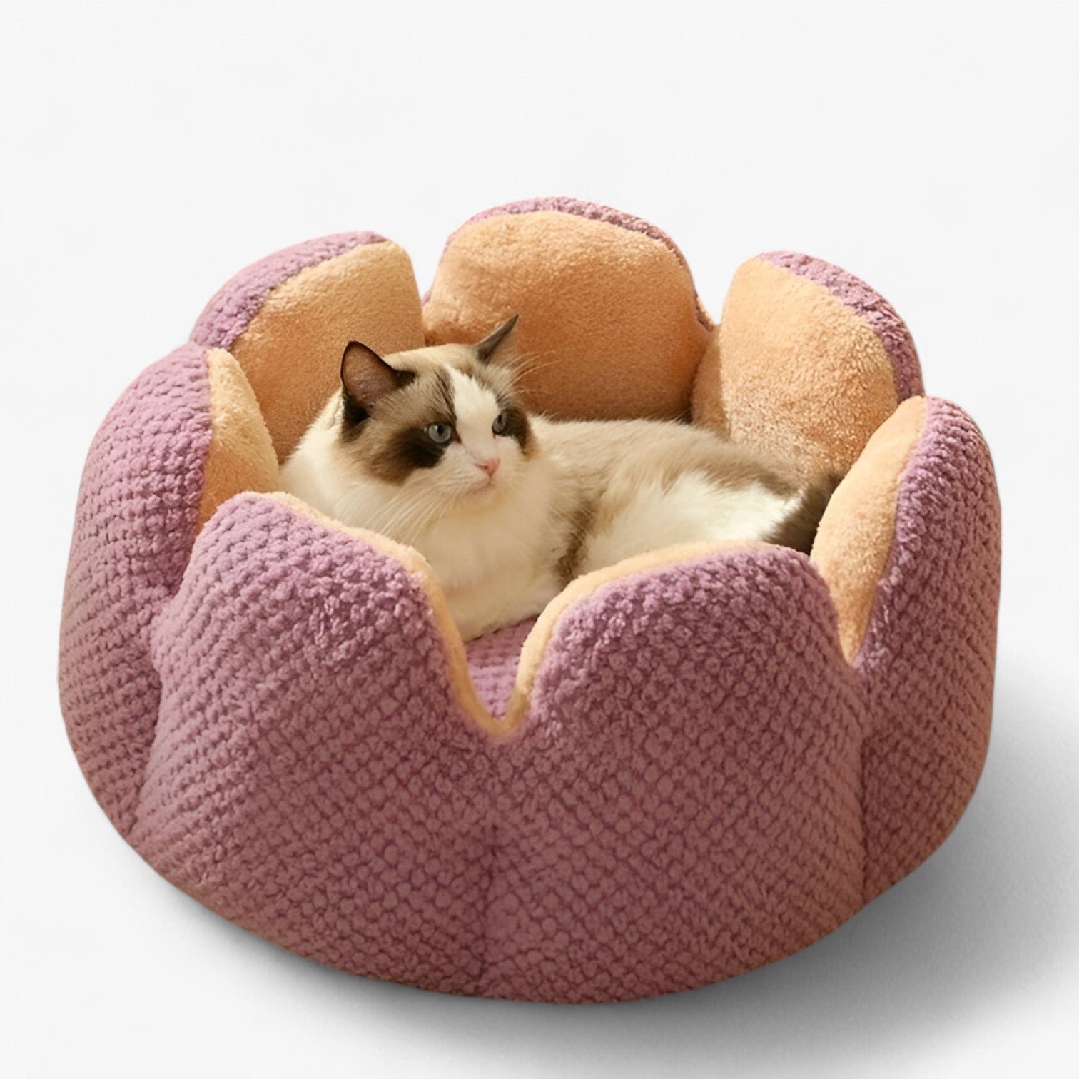 Addie | Fluffy Bloemhuis – Caldo & Accogliente per Gatti e Cuccioli - viola - pet pet bed PET SUPPLIES - Concept Palermo