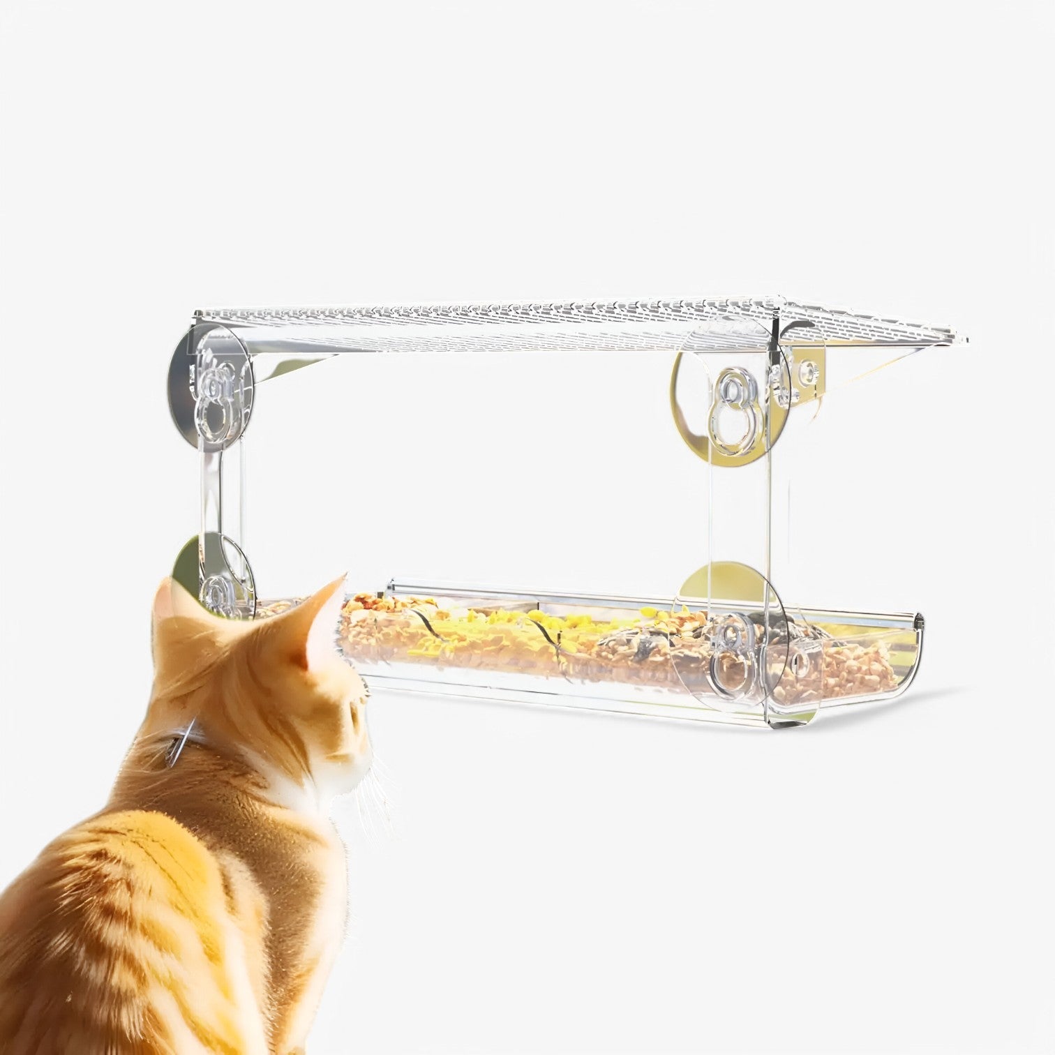 Nadia | Casetta per uccelli trasparente – Goditi i uccelli da vicino nel tuo giardino - - bird bird feeder birdproduct pet PET SUPPLIES - Concept Palermo
