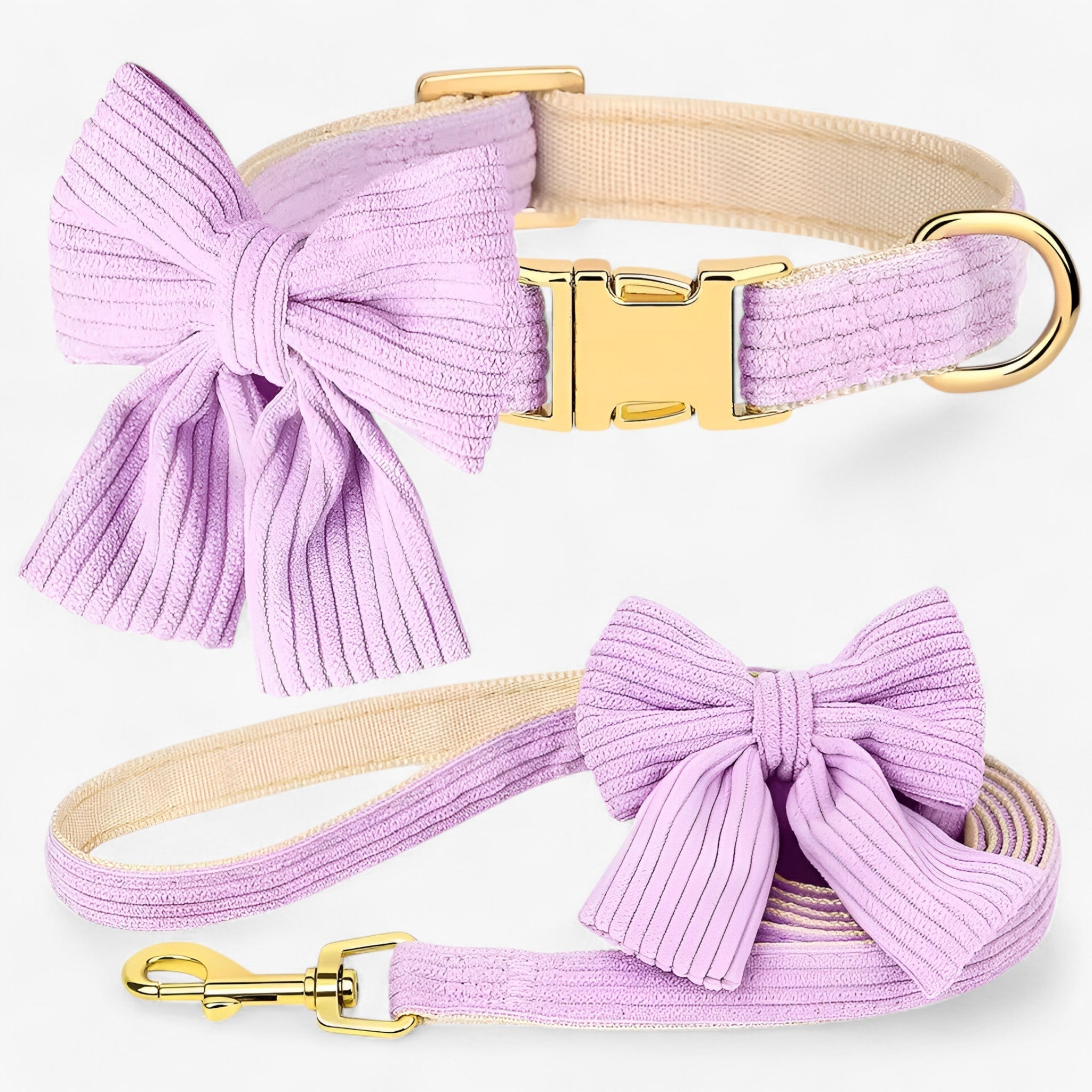 Luna | Set Collare e Guinzaglio Rosa Chiaro per Cani Piccoli e Medi - Viola - - Concept Palermo