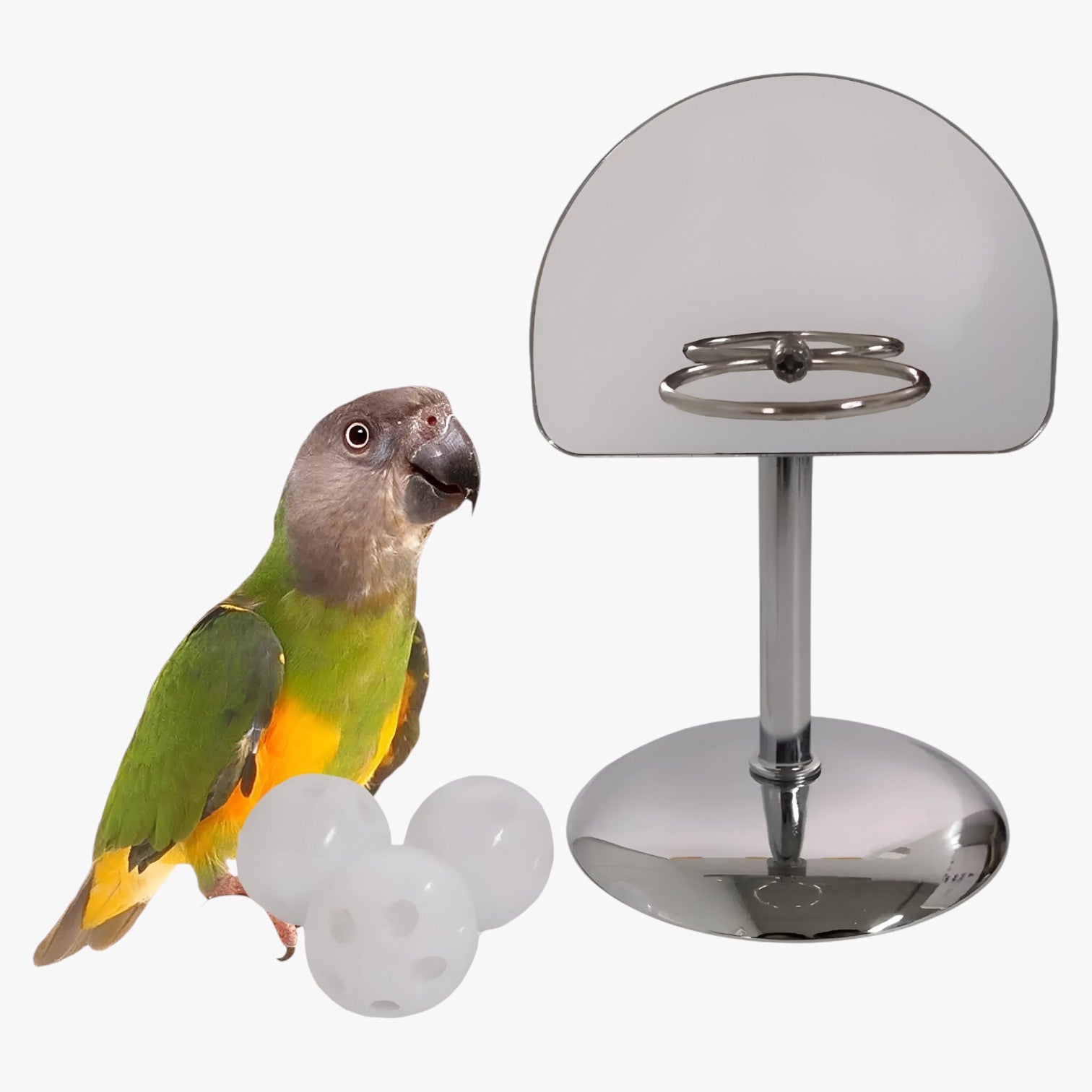 Alejandro | Train & Play - Gioco per pappagalli slim per uccelli intelligenti - - bird bird toys birdproduct - Concept Palermo