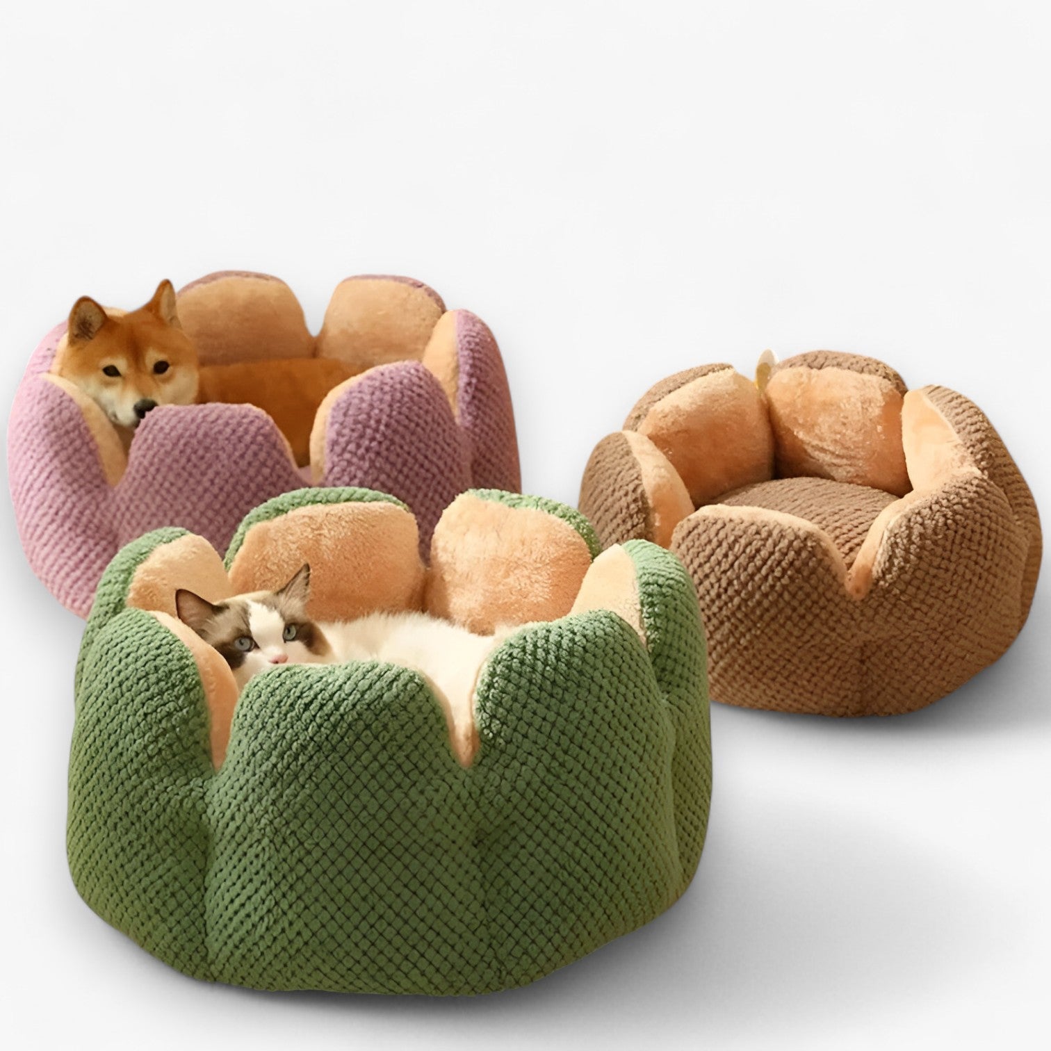 Addie | Fluffy Bloemhuis – Caldo & Accogliente per Gatti e Cuccioli - - pet pet bed PET SUPPLIES - Concept Palermo