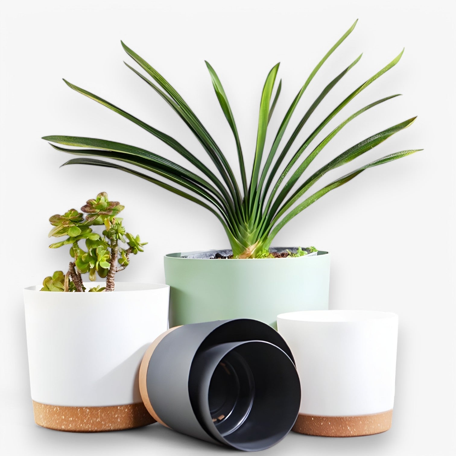 Amancio | Vaso di fiori in plastica elegante - con drenaggio per una crescita sana - - Garden Garden supplies Home & Garden - Concept Palermo