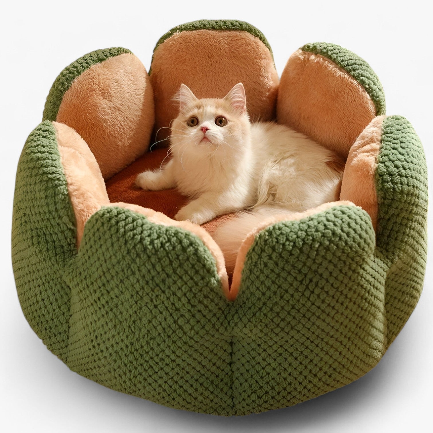 Addie | Fluffy Bloemhuis – Caldo & Accogliente per Gatti e Cuccioli - verde - pet pet bed PET SUPPLIES - Concept Palermo