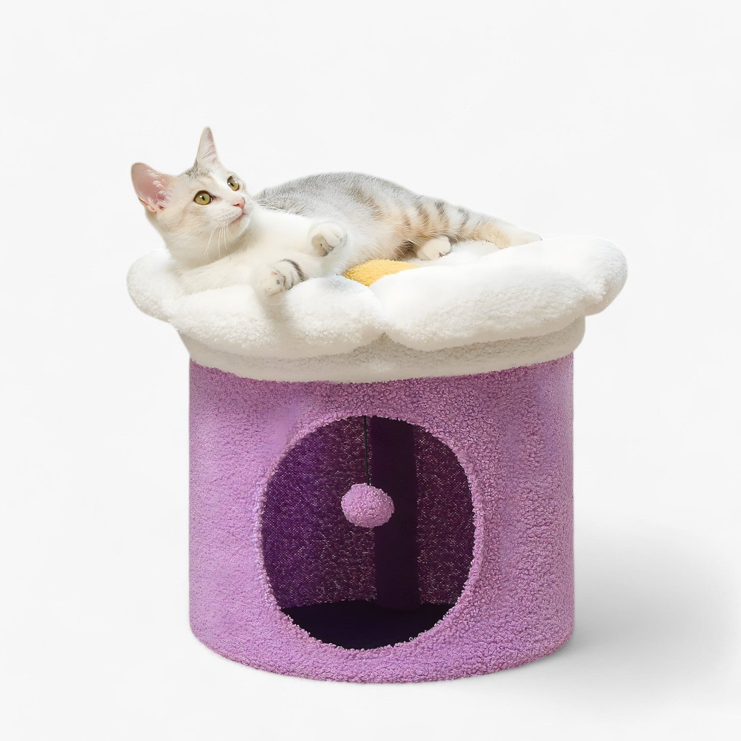 Polly | Rifugio per gatti carino con letto a fiori removibile - Viola - cats pet PET SUPPLIES - Concept Palermo