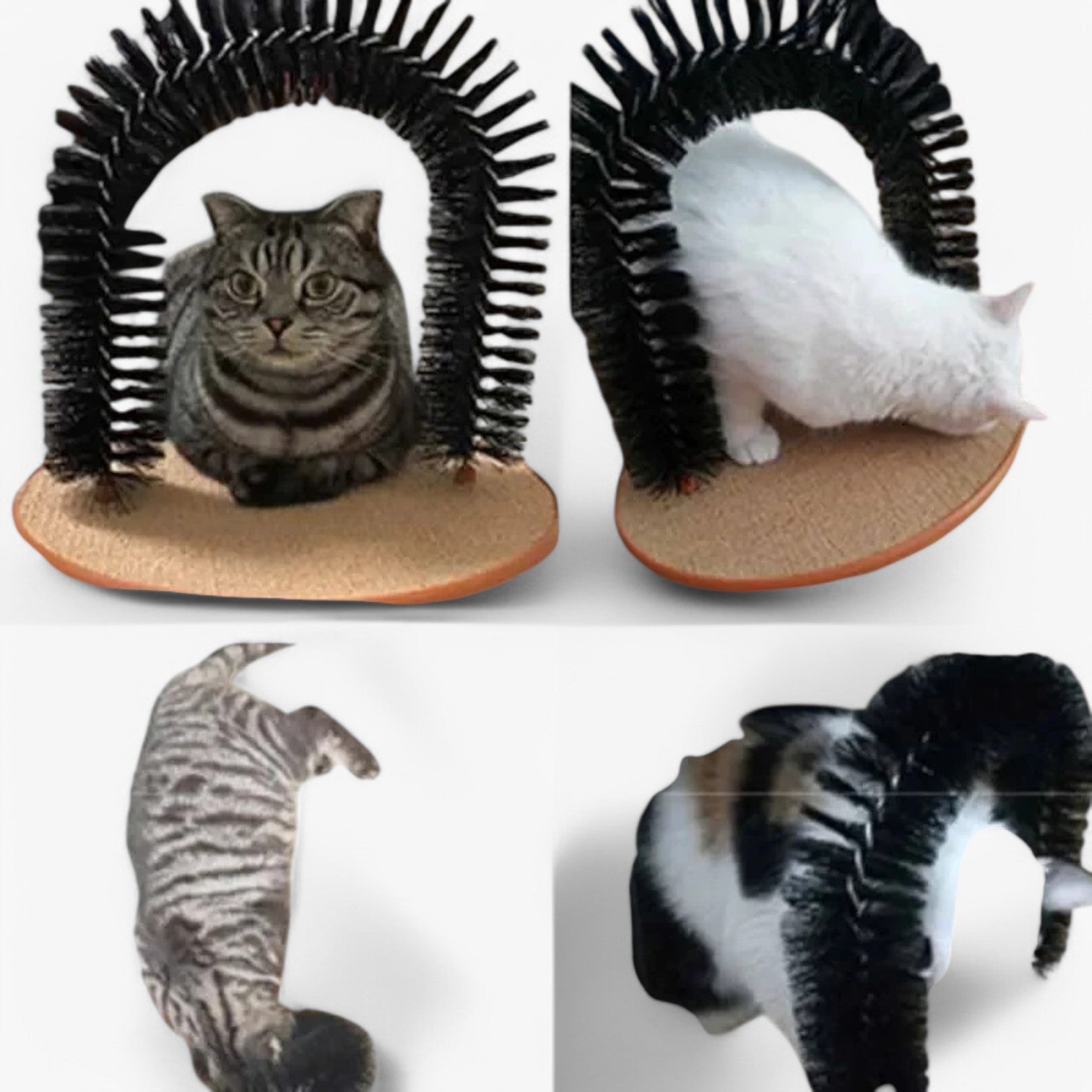 Calixta | Arco di Auto-Cura – Cura, grattare e giocare in uno - - pet pet accessories PET SUPPLIES - Concept Palermo