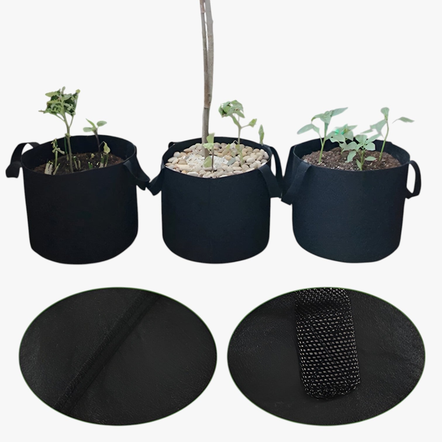 Genalyn | Sacco di coltivazione salvaspazio – Piante sane, facili da coltivare - - Garden Garden supplies Home & Garden - Concept Palermo
