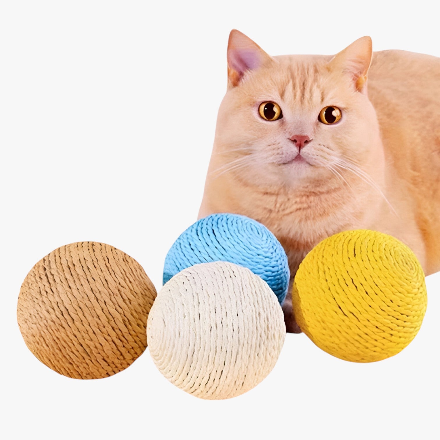 Elio | Palla Giocattolo 8 cm per Gatti Interattiva, Mordibile e con Suoni - - pet pet toys petproduct - Concept Palermo
