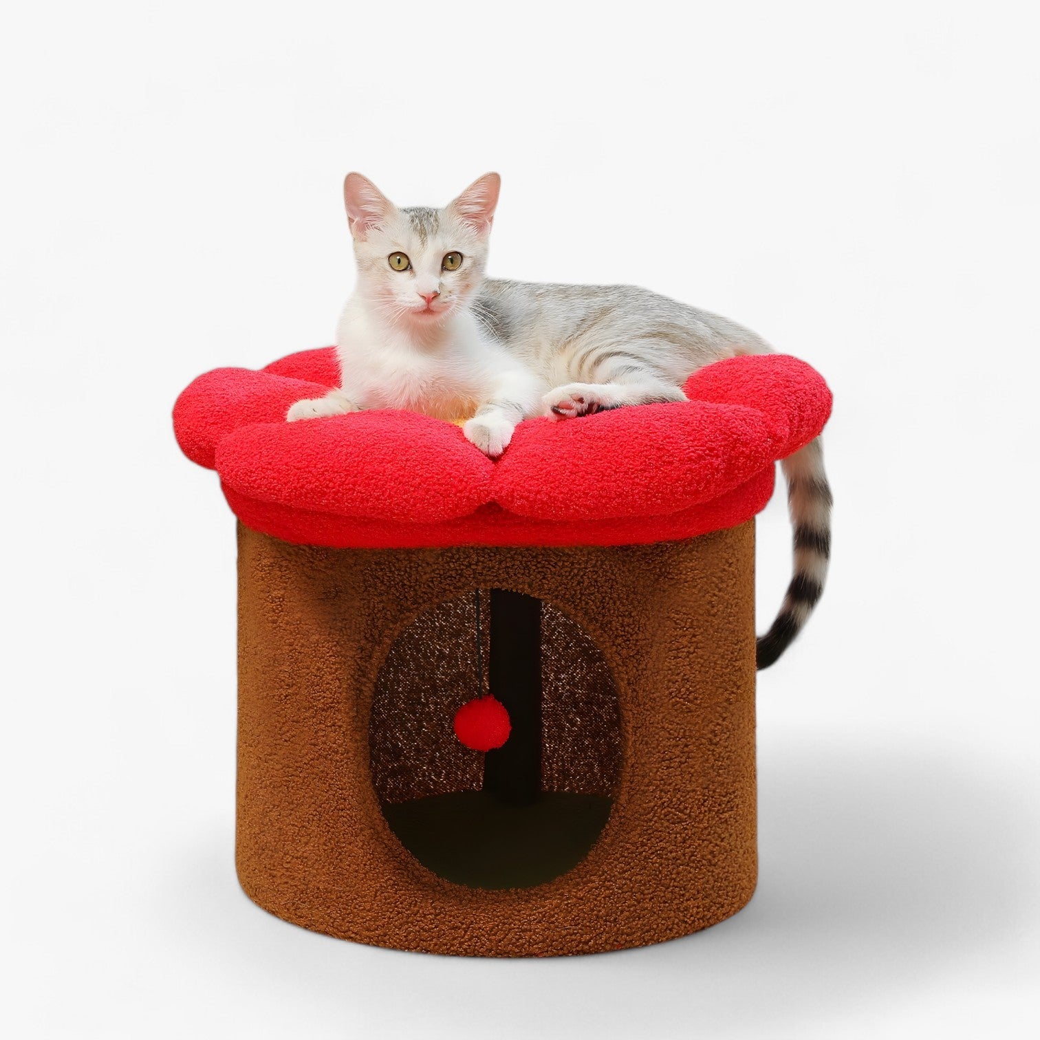 Polly | Rifugio per gatti carino con letto a fiori removibile - Marrone - cats pet PET SUPPLIES - Concept Palermo