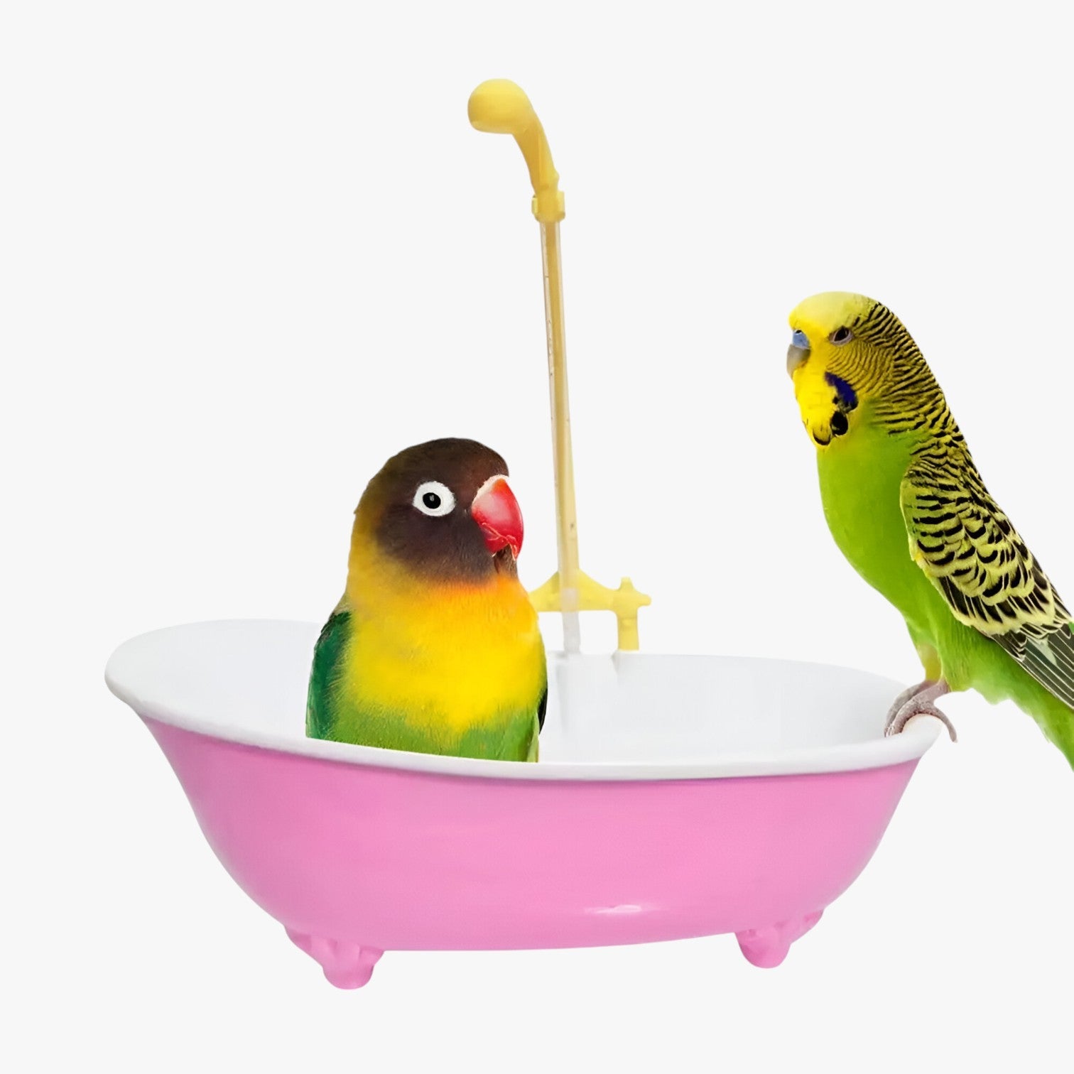 Deana | Vasca per uccelli slim e automatica – Fresca, giocosa e senza preoccupazioni per la pulizia - - bird bird bath birdproduct pet PET SUPPLIES - Concept Palermo