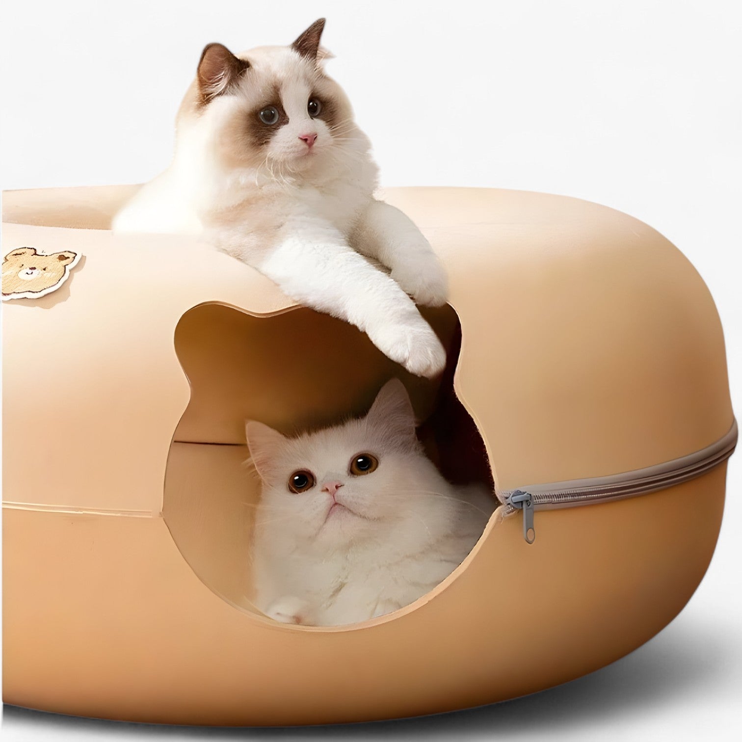 Maggie | Letto per gatti interattivo schiccoso: giocare, rilassarsi e scoprire - - cat pet PET SUPPLIES - Concept Palermo