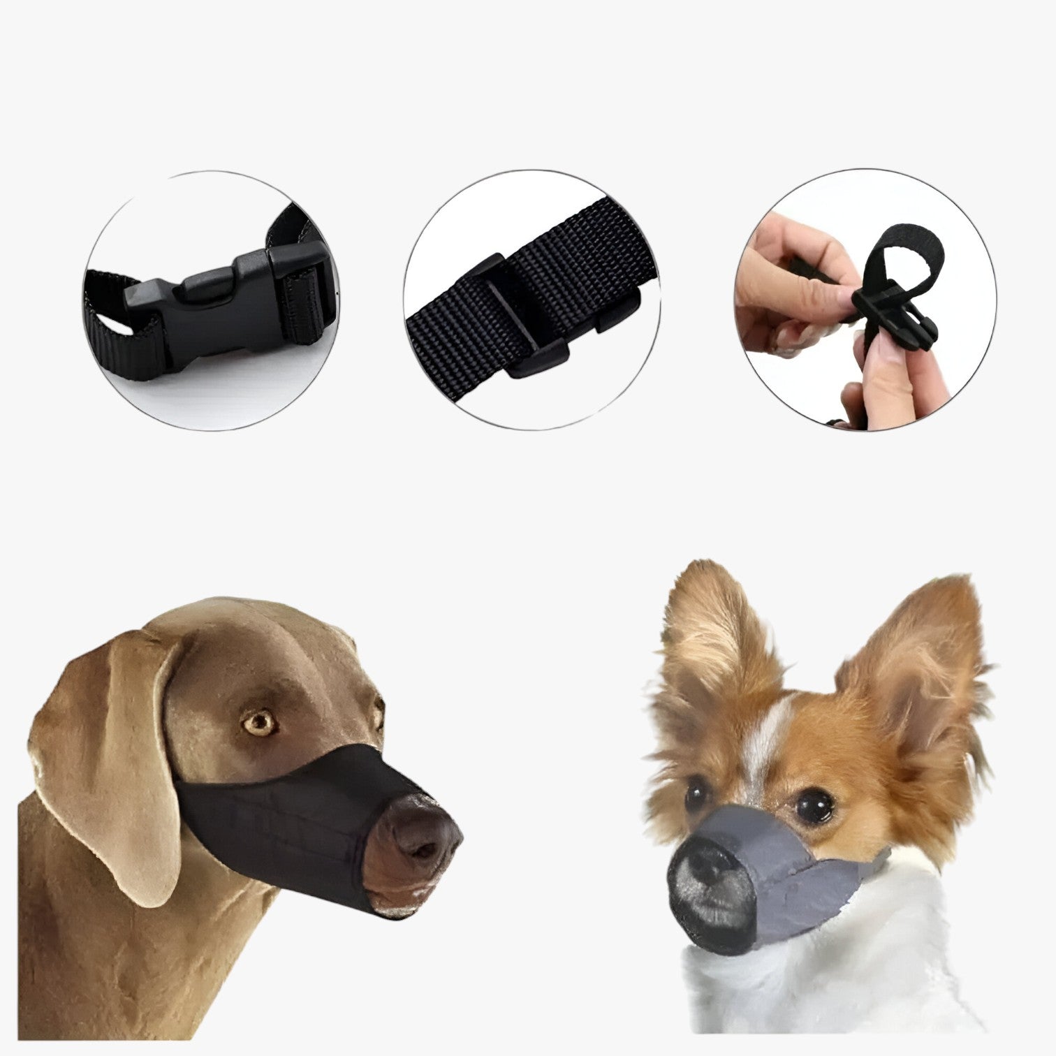 Killian | Museruola in nylon sicura - Comfort e controllo per il tuo cane - - dog DOG SUPPLIES pet pet accessories PET SUPPLIES - Concept Palermo