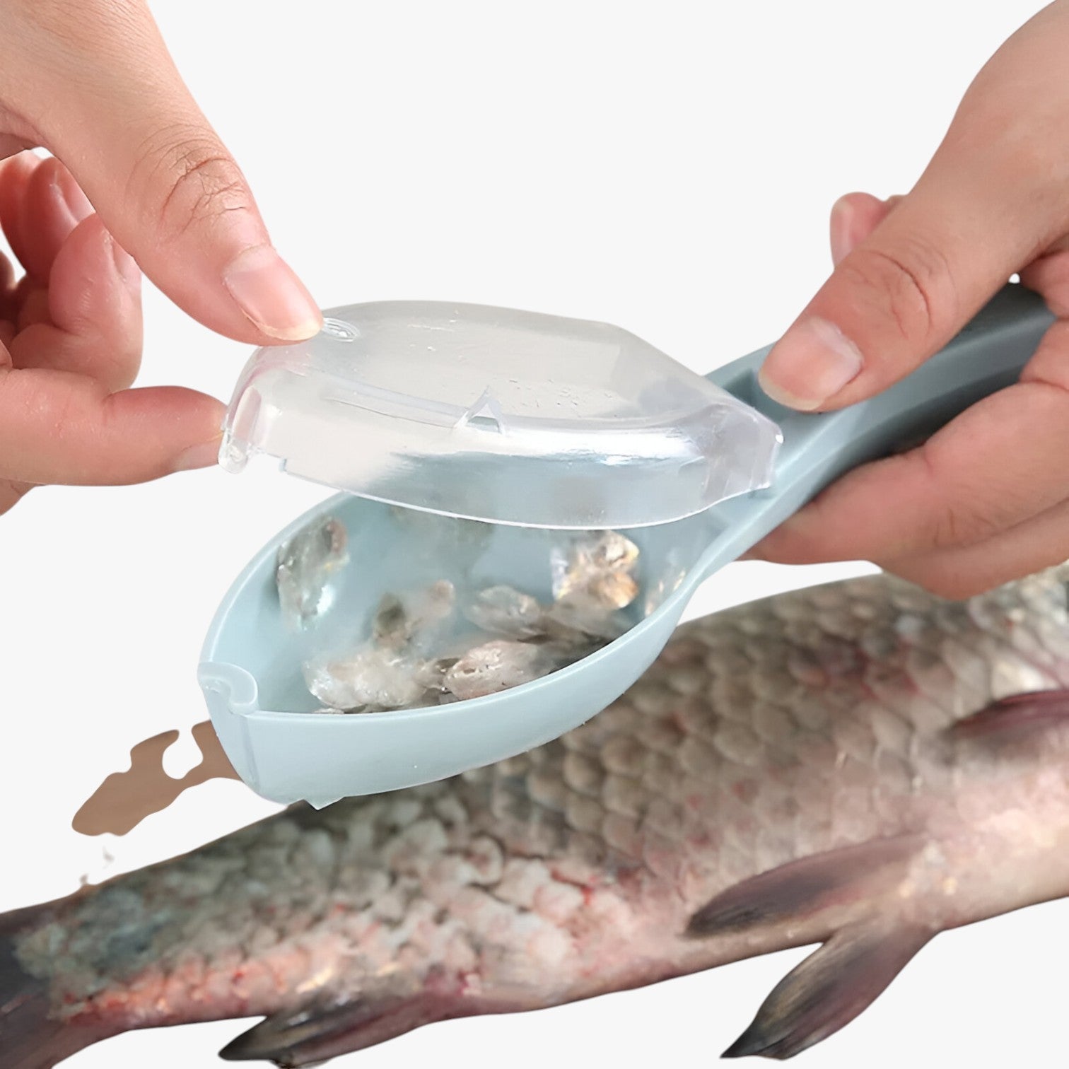 Gabriela | Pulitore per vetri con coperchio Svelt e senza schizzi per ciotole e raschiature - - cucina - Concept Palermo