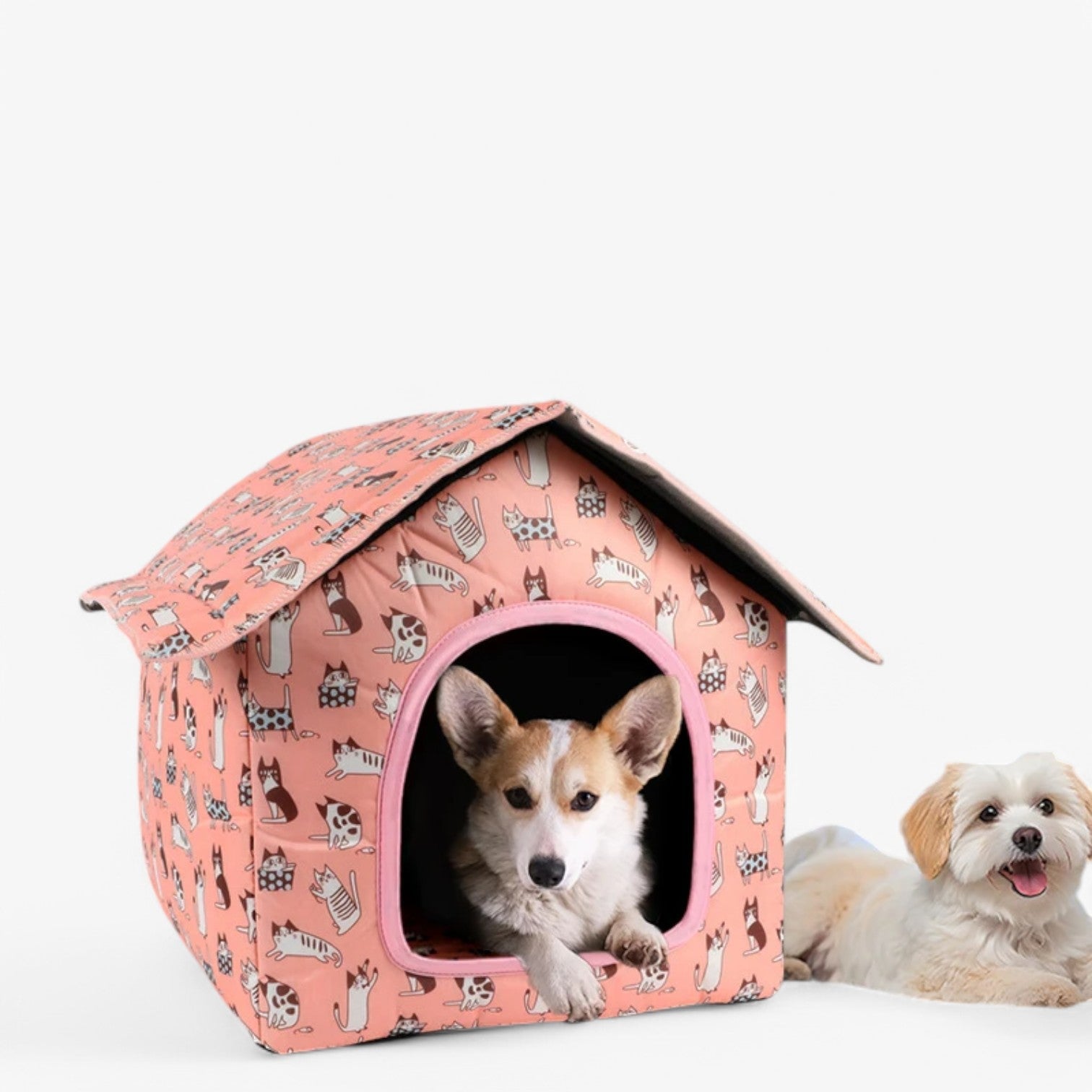 Harlow | Casetta per gatti impermeabile – Calda e accogliente per esterni - - dog DOG SUPPLIES - Concept Palermo