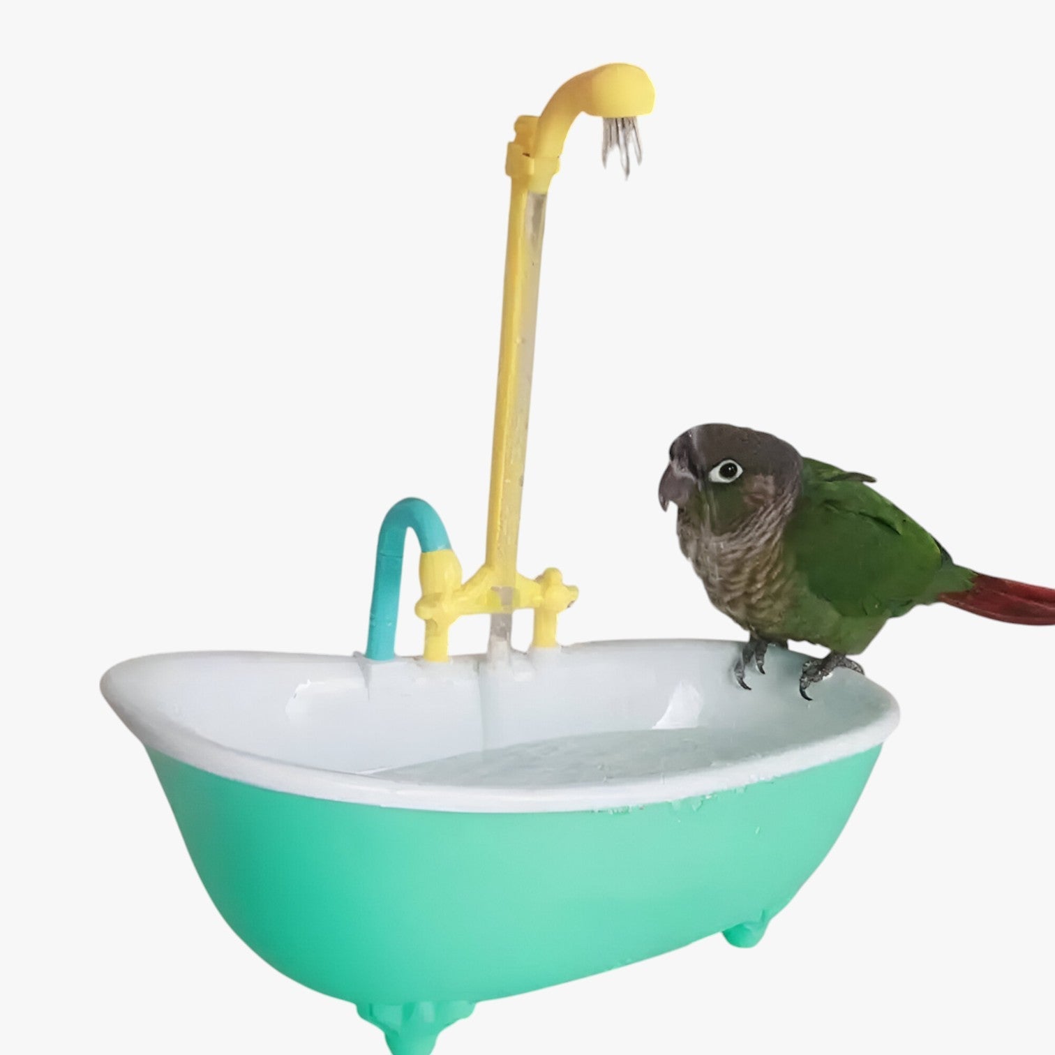 Deana | Vasca per uccelli slim e automatica – Fresca, giocosa e senza preoccupazioni per la pulizia - - bird bird bath birdproduct pet PET SUPPLIES - Concept Palermo