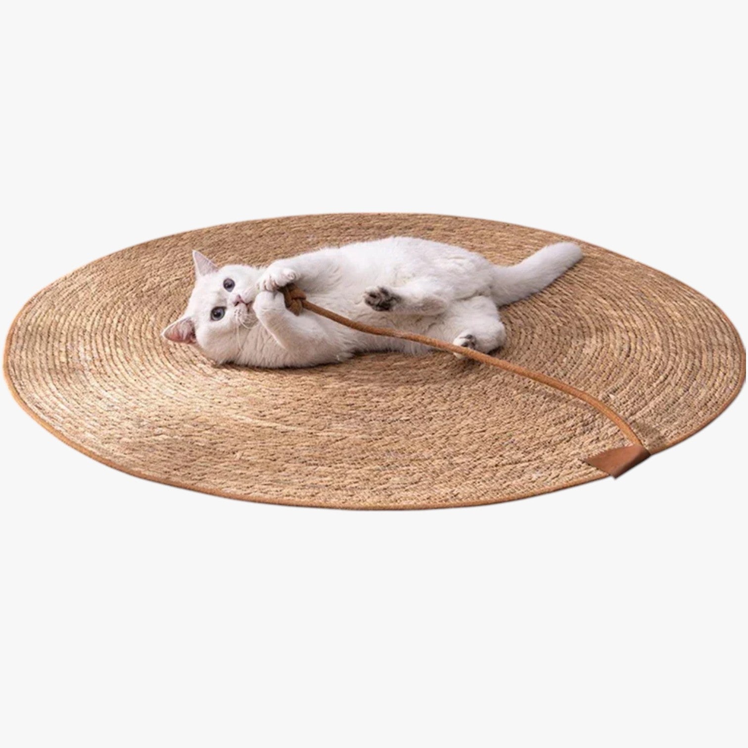 Desiree | Tappetino tiragraffi in paglia per gatti, pratico e facile da usare - - pet PET SUPPLIES petproduct - Concept Palermo