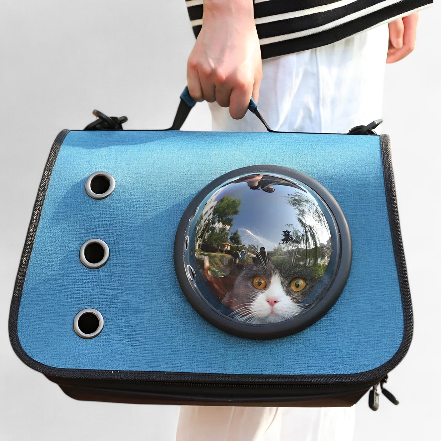 Zoë | Borsa per gatti trasparente e traspirante per viaggi - - - Concept Palermo