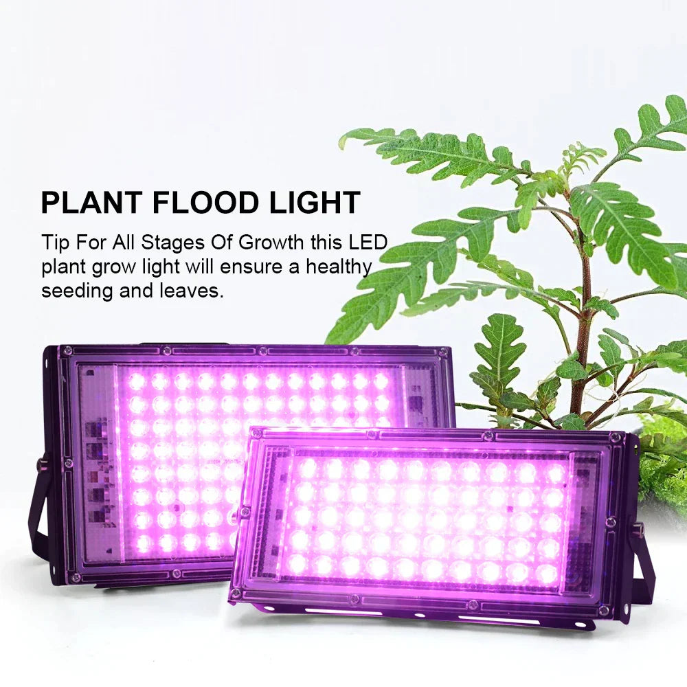 HydroGlow - Lampada da coltivazione LED a spettro completo con spina EU - - Decoration lighting grow lamp grow light led lamp lightning plant light - Concept Palermo